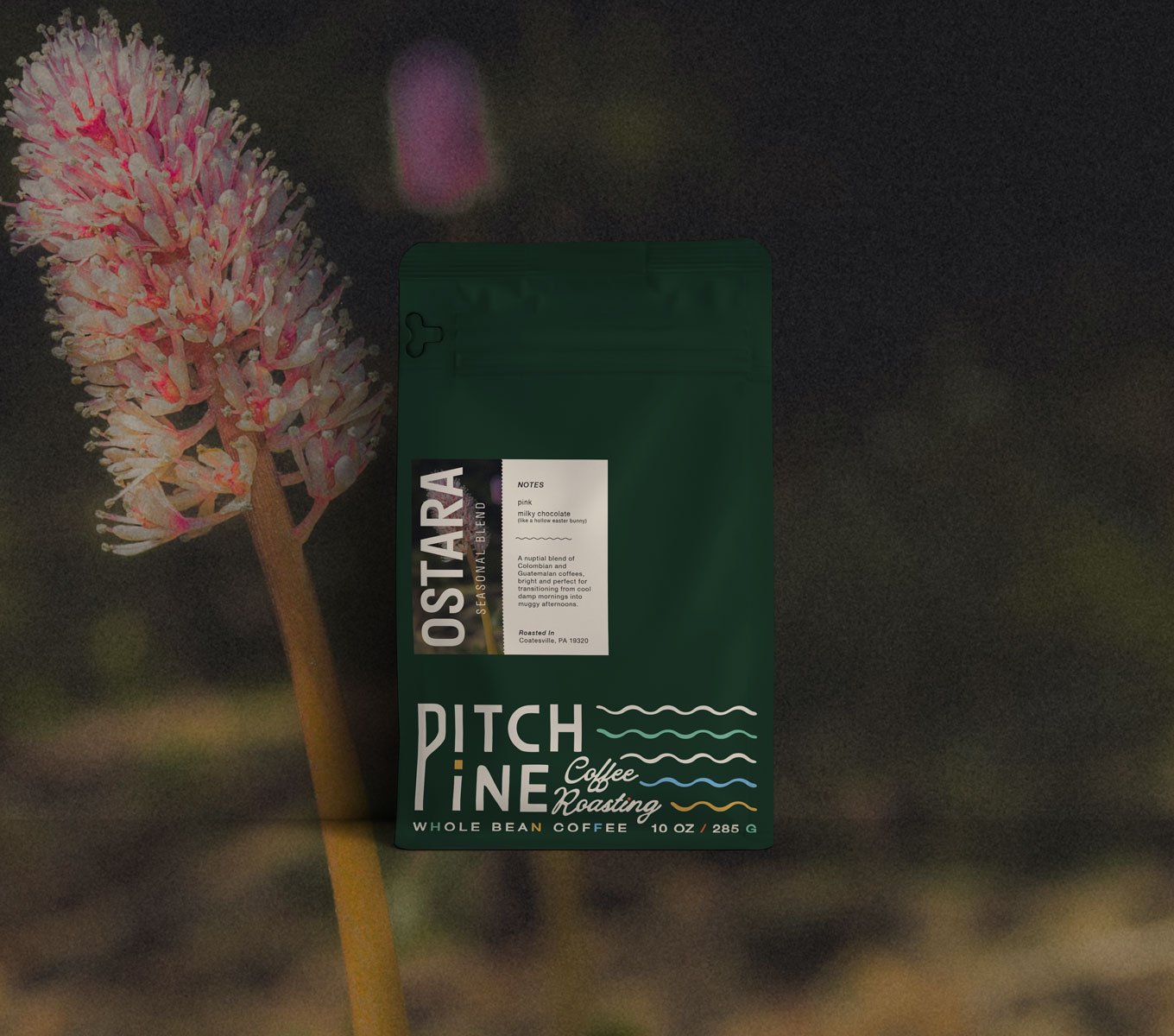 PitchPineCoffee-Blend-Ostara-Bag.jpg