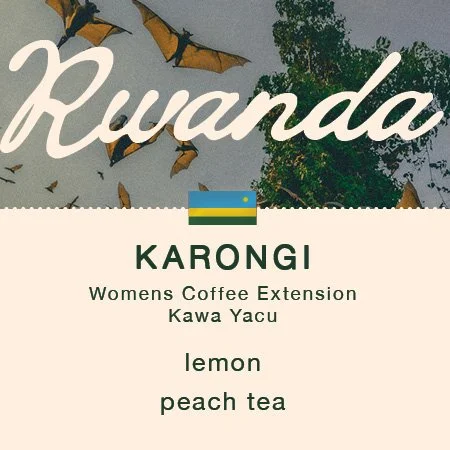PitchPineCoffee-Rwanda-Karongi.jpg