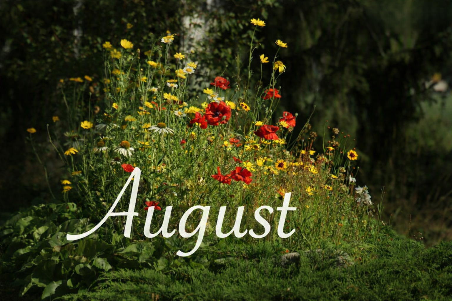 August 2026