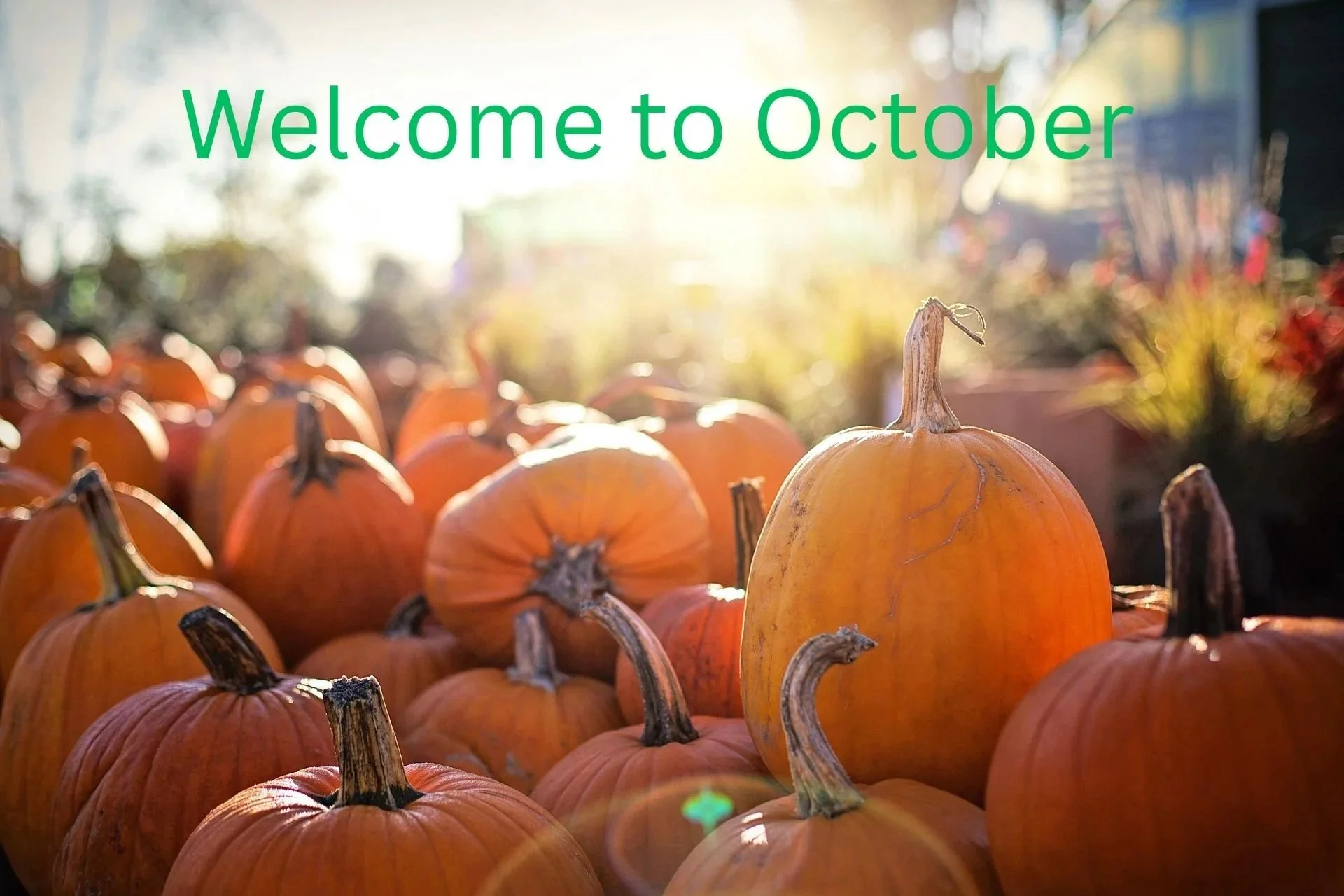 October 2026
