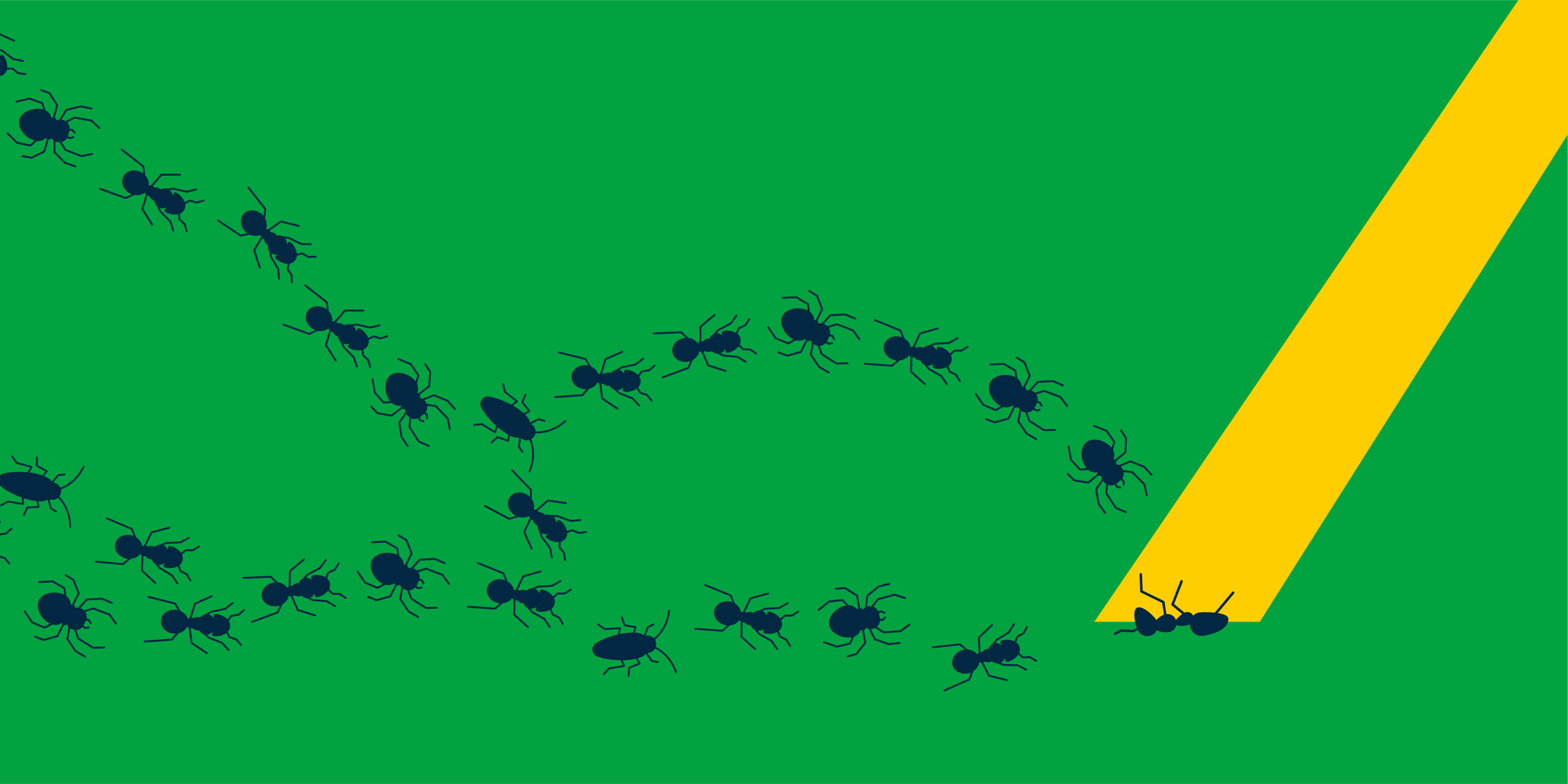 Email_Banners_General Pest-1.png