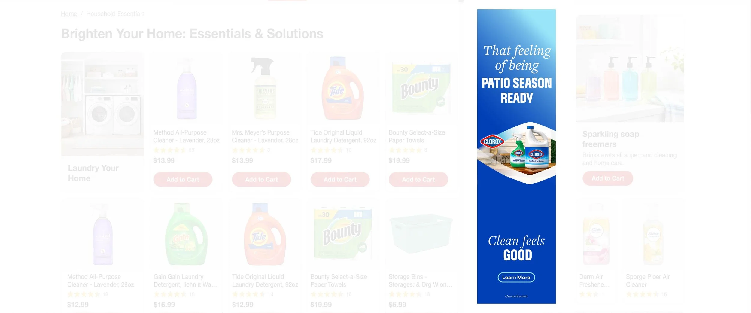 For website_Clorox Web Banners 31.jpg