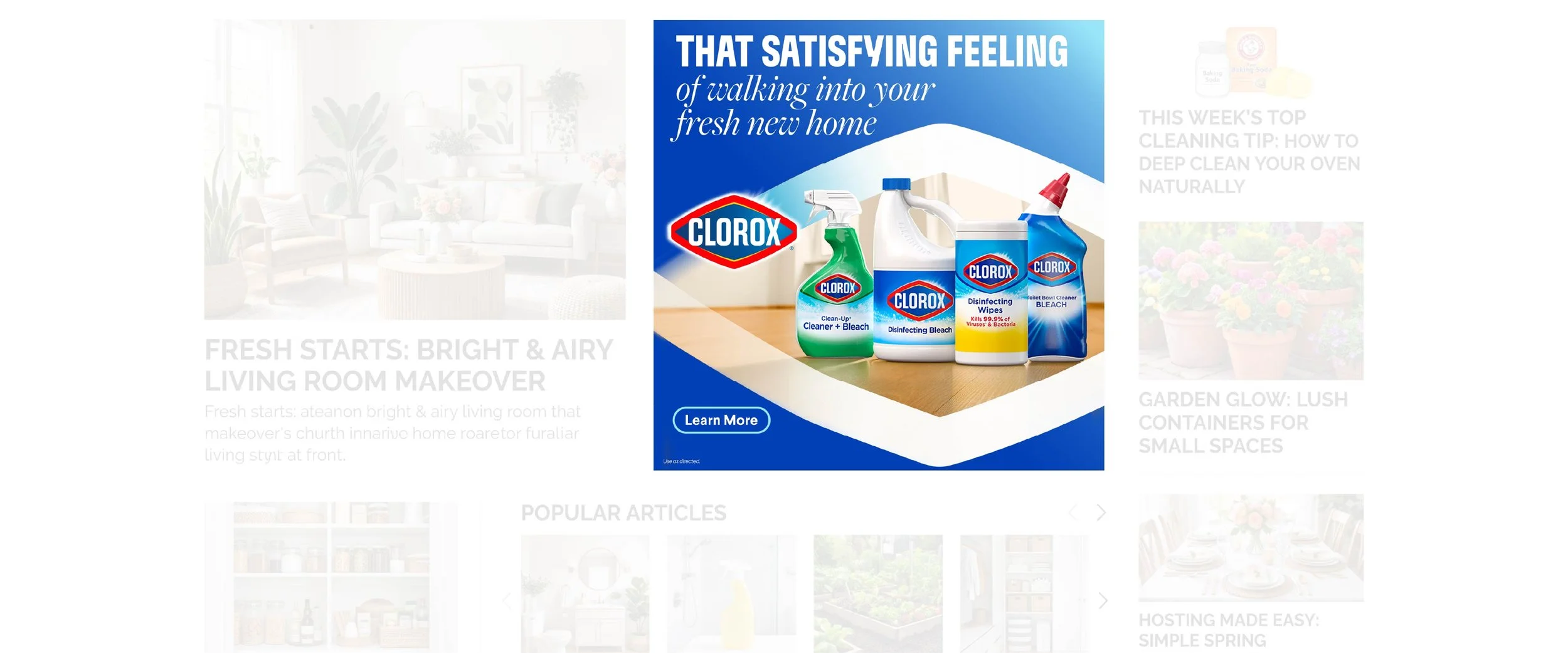 For website_Clorox Web Banners 32.jpg