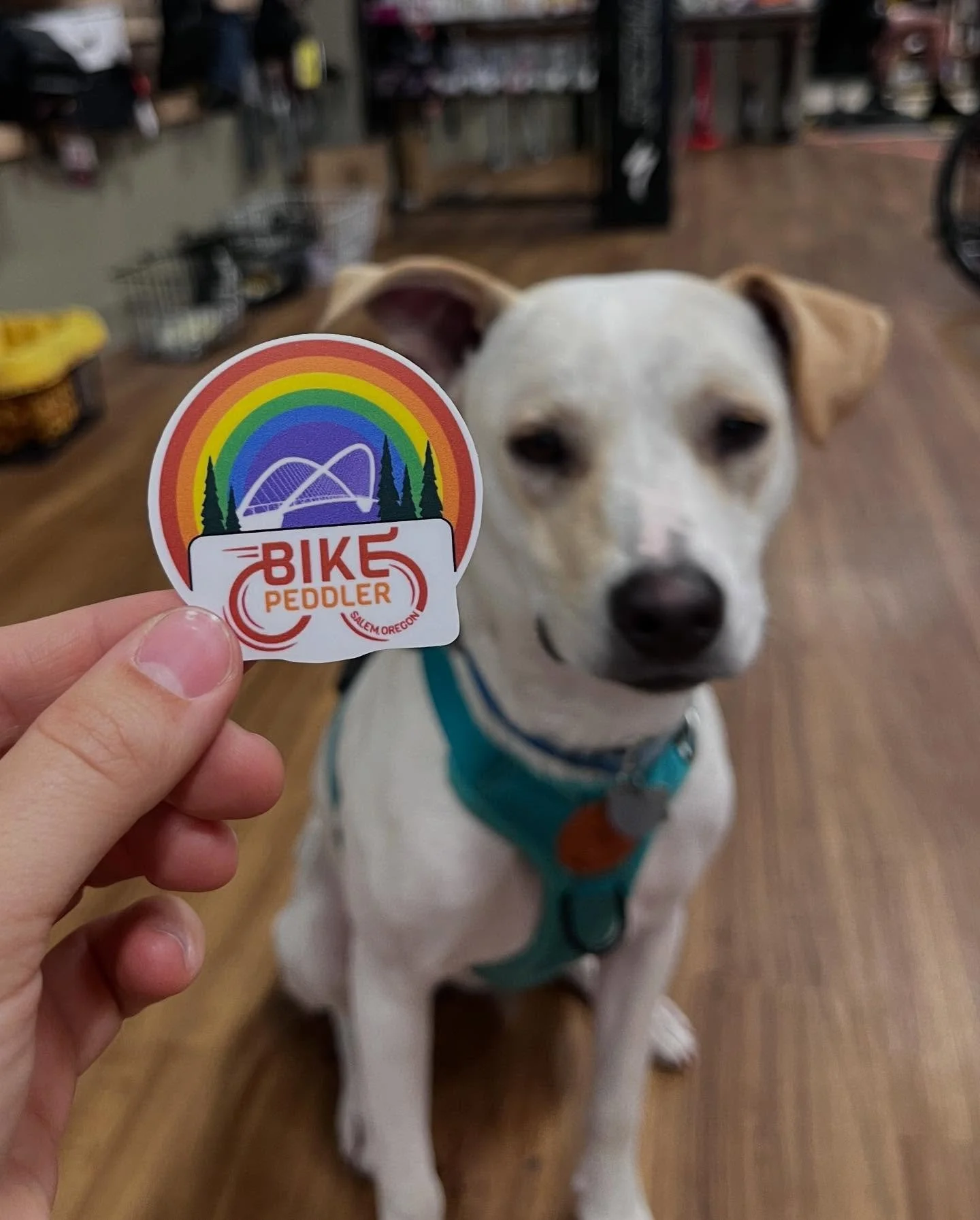 New sticker day! Get one (Or two? Three? One of each?) to sweeten up your goods. Plus they&rsquo;re free. Freeeee!

Design by @searchingmedia and @sophie23smith 

Printing by @prettygoodprinting