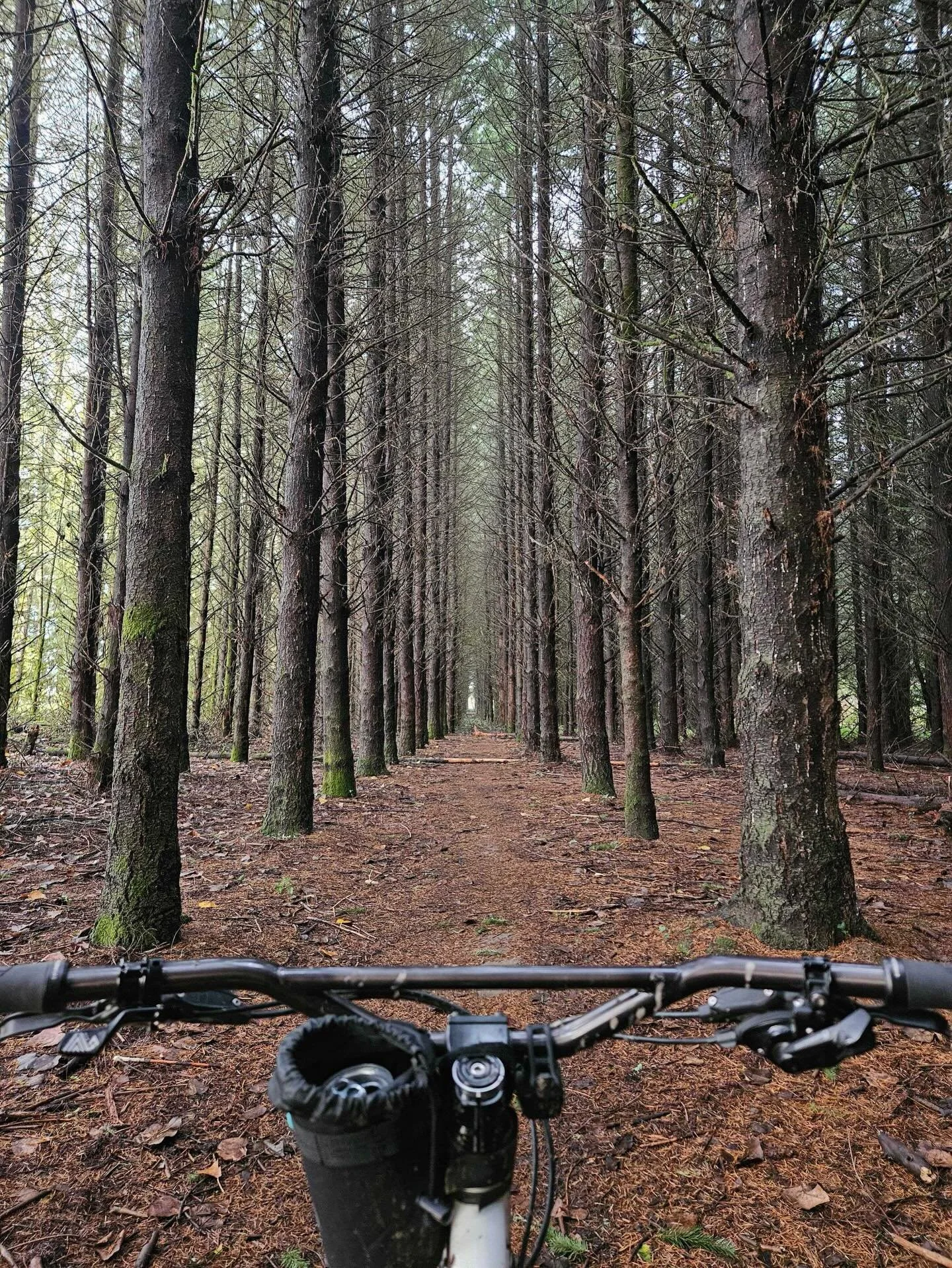 We rode straight on into the new year! Happy 2026 ya&rsquo;ll!! 🥳🥂

I wanted to slow down our roll for a minute and just thank everyone who&rsquo;s helped keep Bike Peddler up and rolling! We saw many changes last year and said good bye to some clo