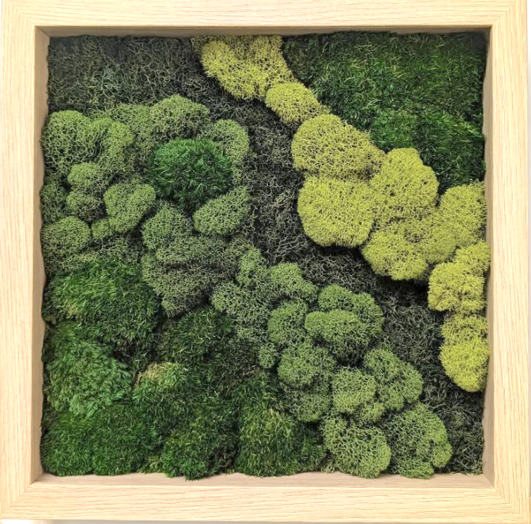 mozzie moss art