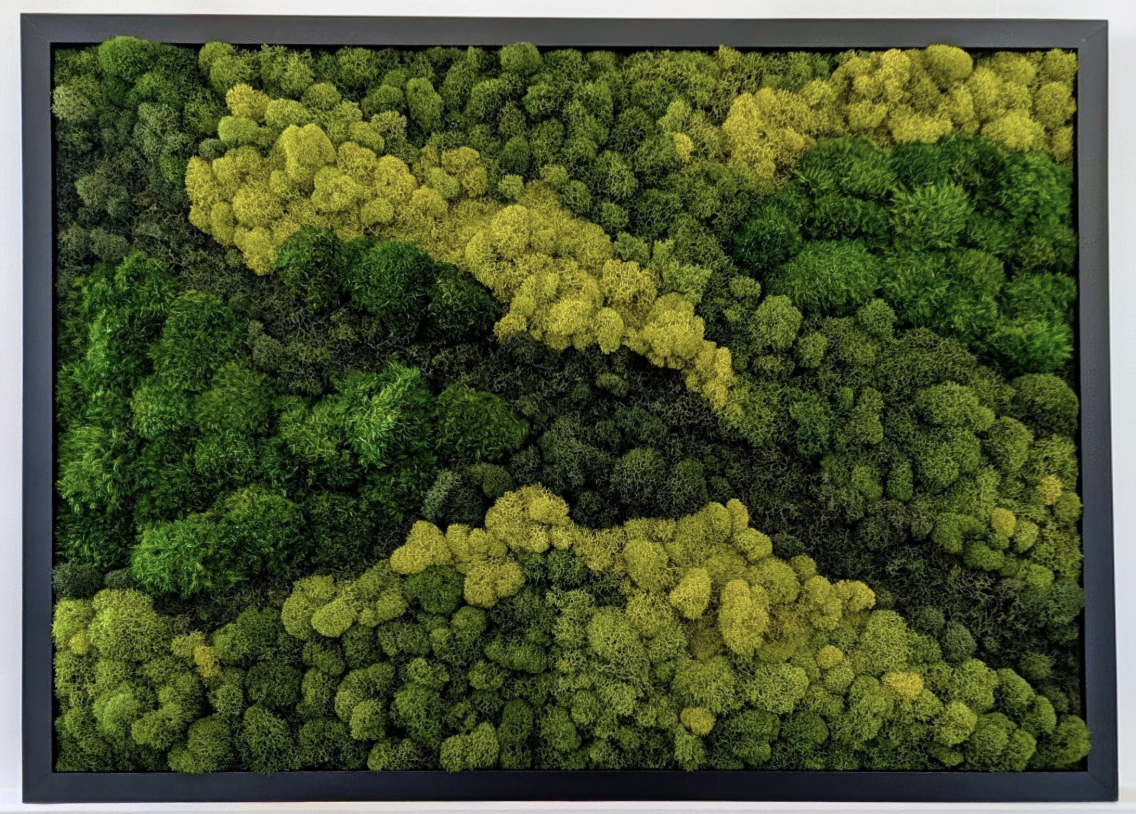 mozzie moss art