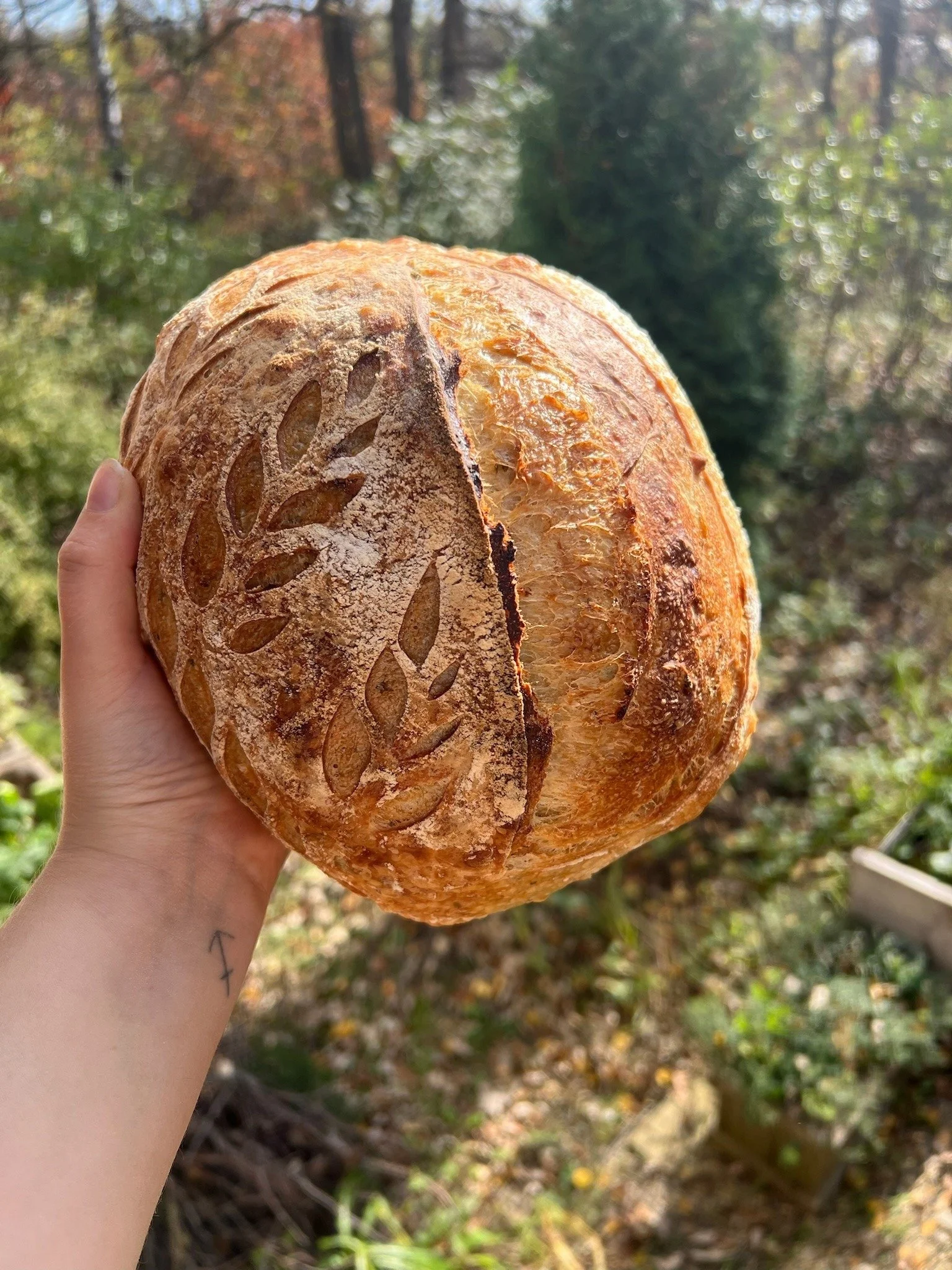 Prairie Wolf Bakery