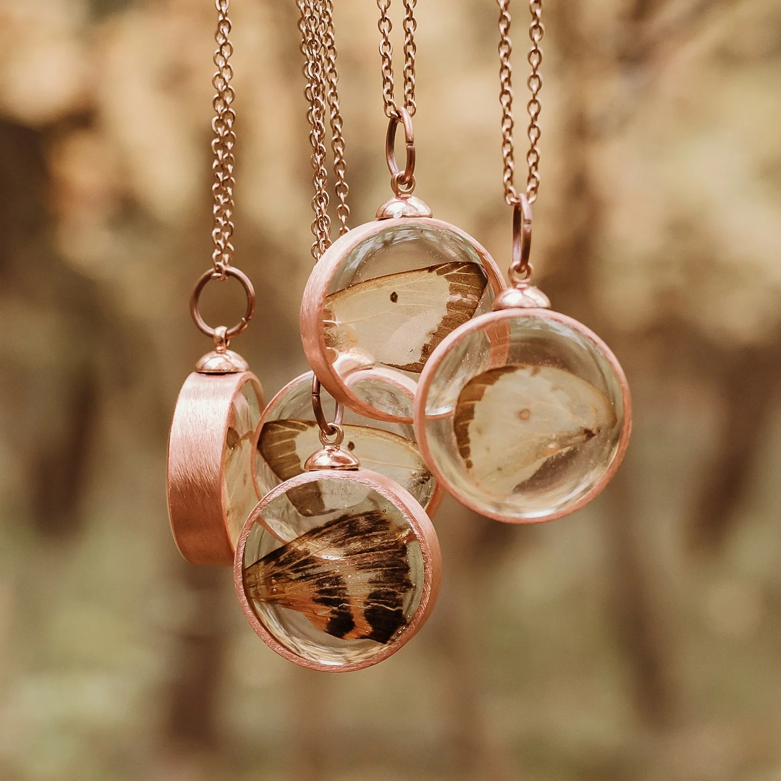 Copper & Pine
