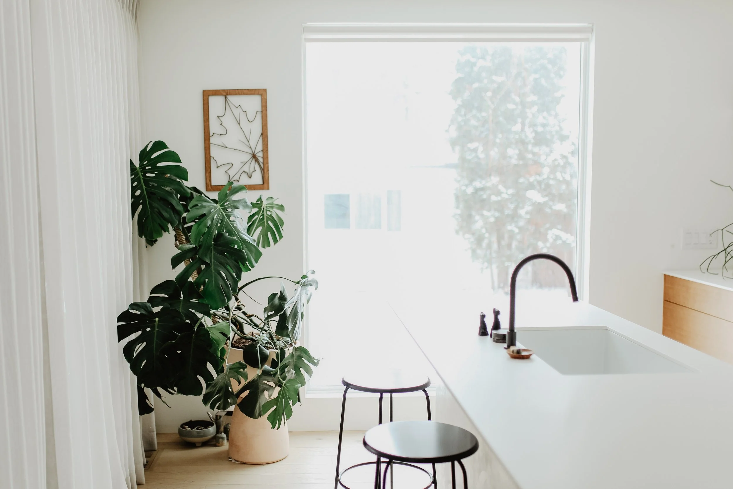 zealousdecor