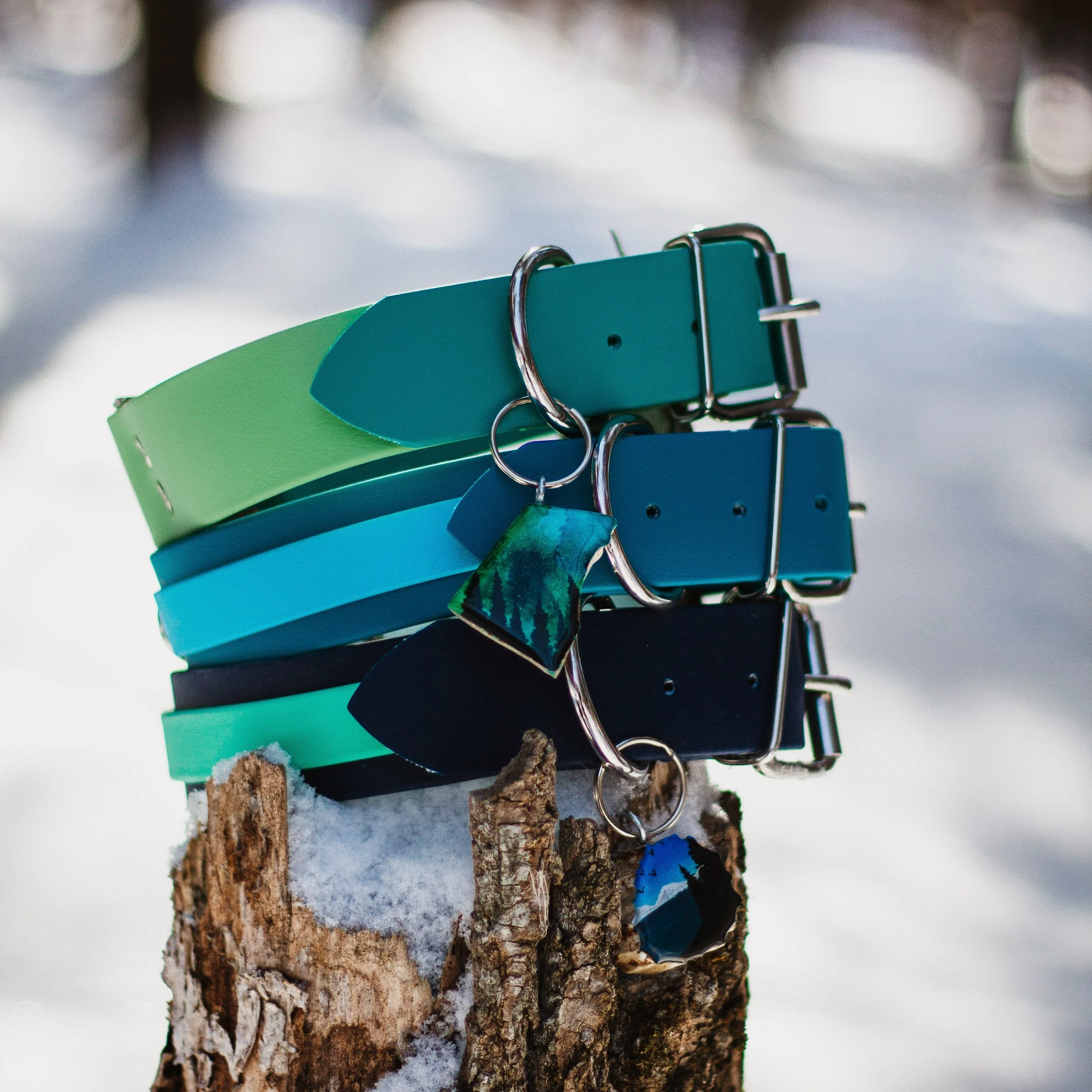 Prairie Dog Collar Co.