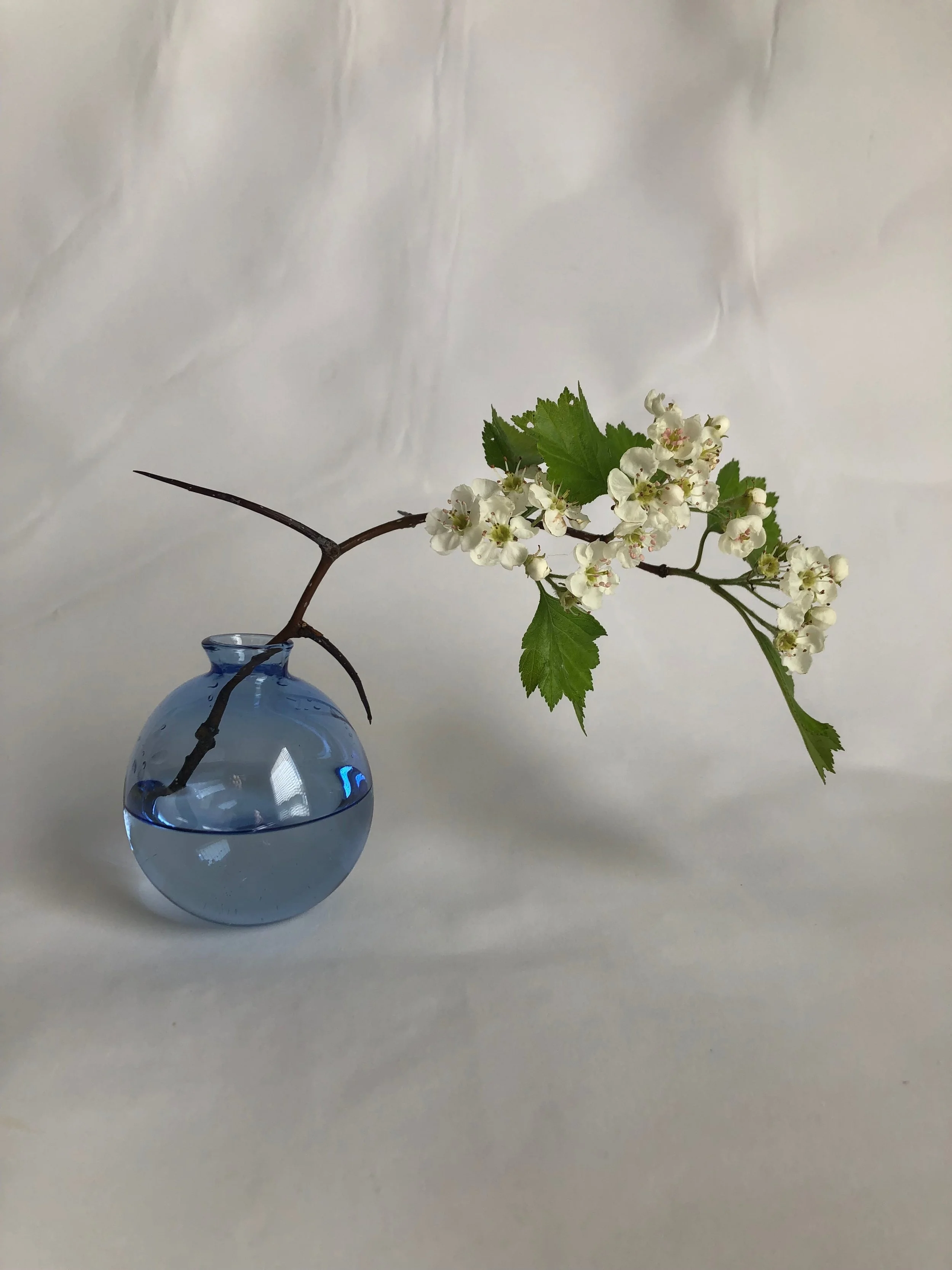 Brook Drabot Glass