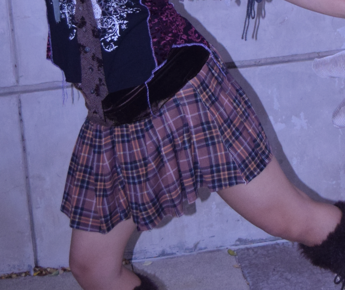 brown plaid pleated mini skirt (sz medium)