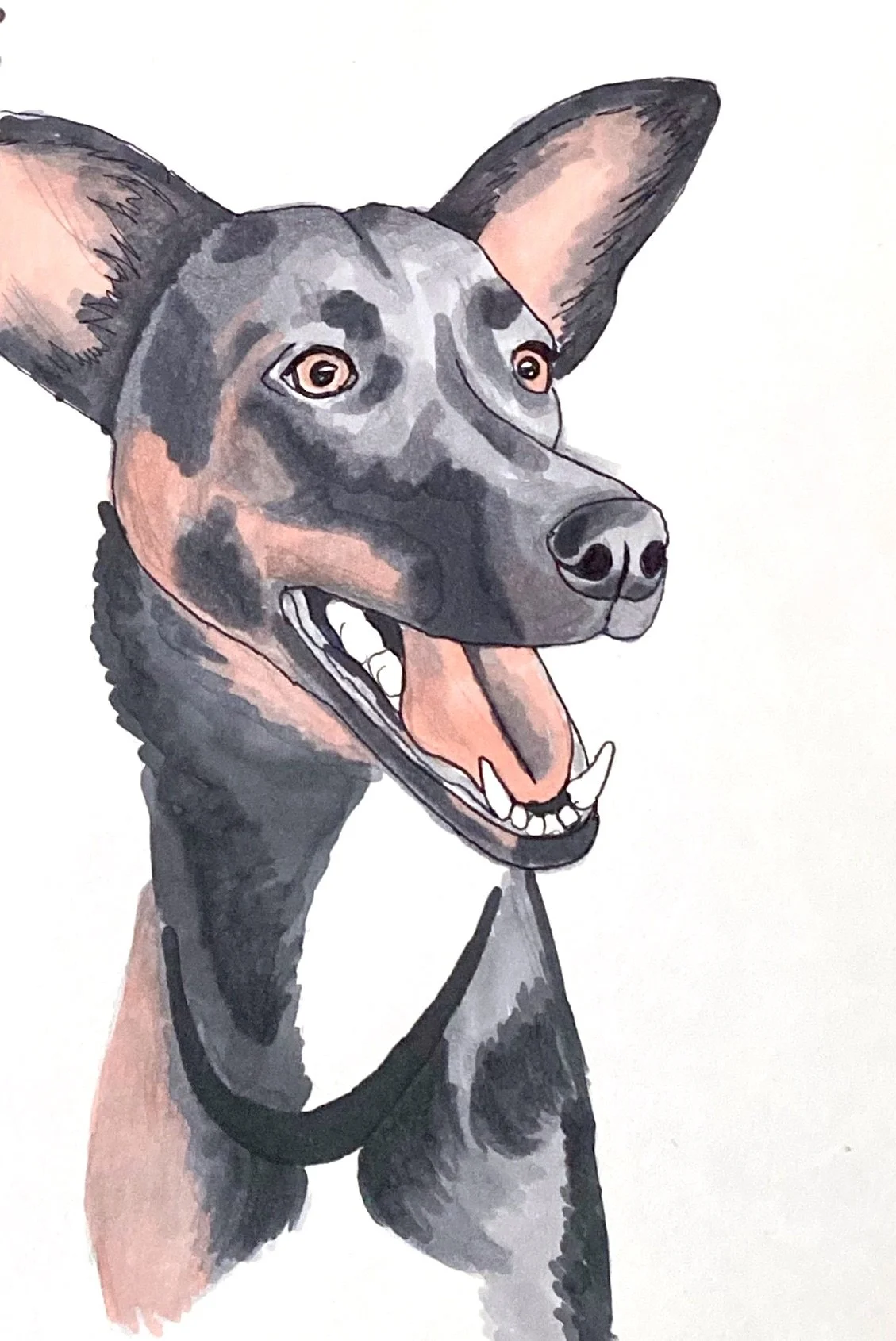 71580081556__D7DC2079-BC1C-41D0-970E-59D31831B292 2.jpeg