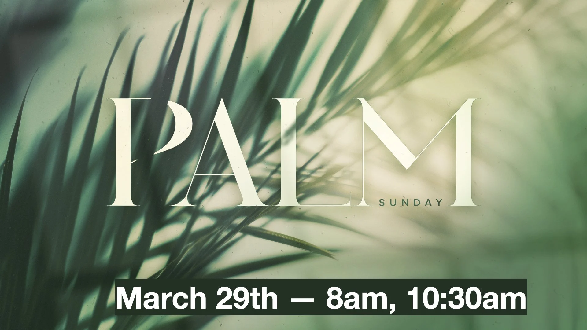 Holy Week 2026.001.jpeg