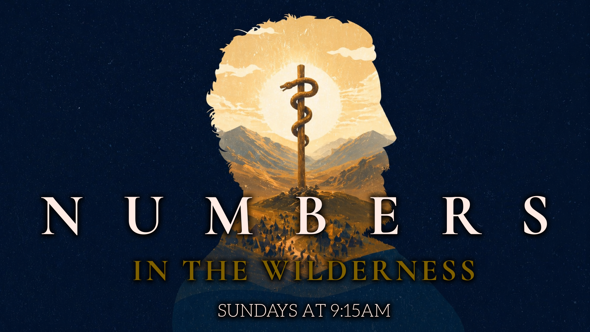 Numbers In the Wilderness Slide.png