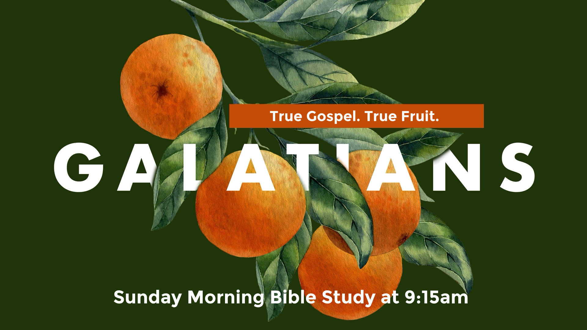 Galatians Bible Study Slide.png