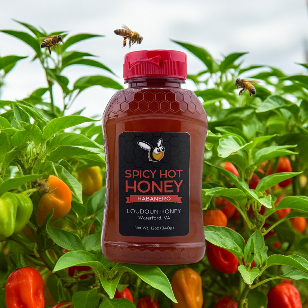 Spicy-Habanero-Honey---12oz-Bottle-edited_1.png