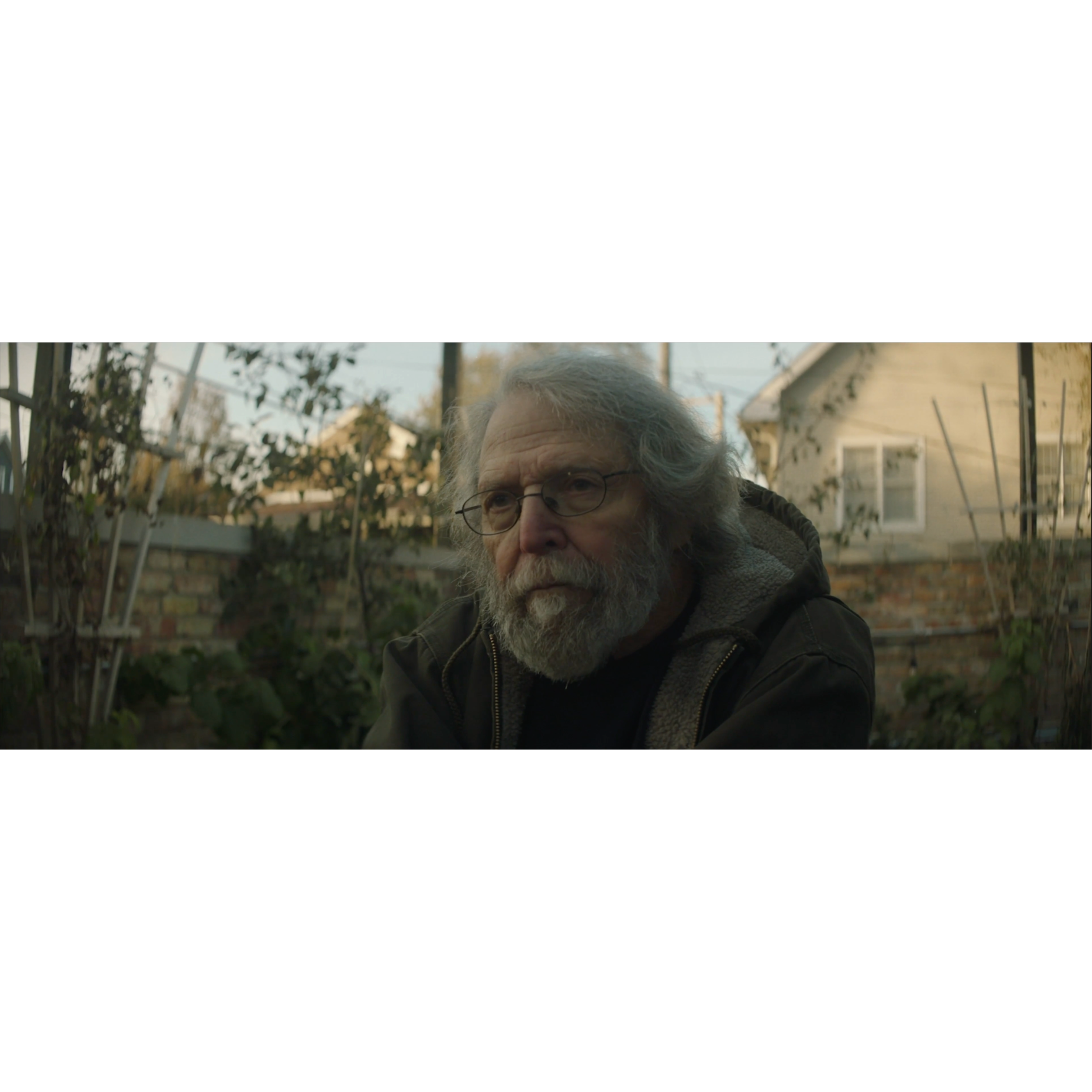 bird feeder (2019)