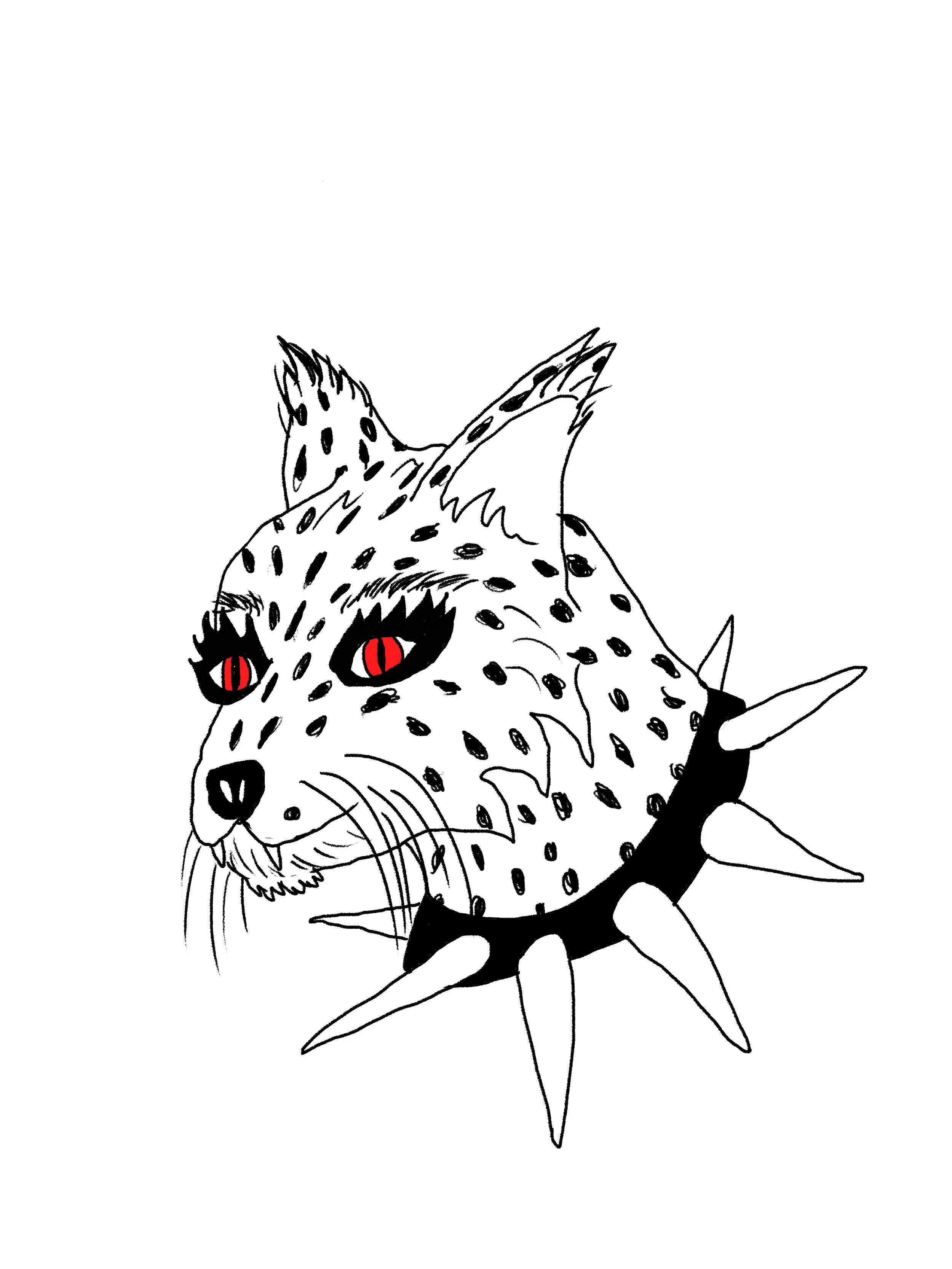 cat cat.jpg