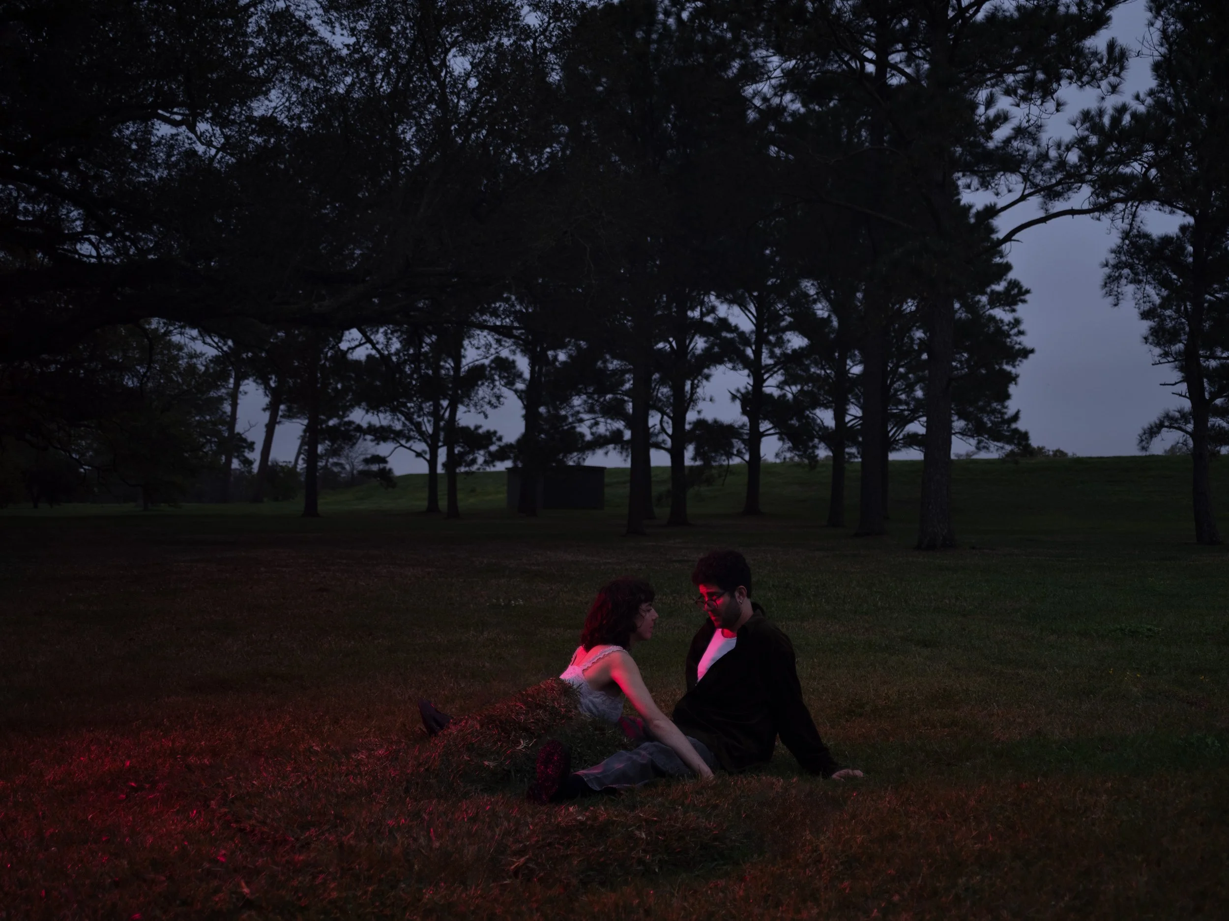 The Hungry Grass, 2026