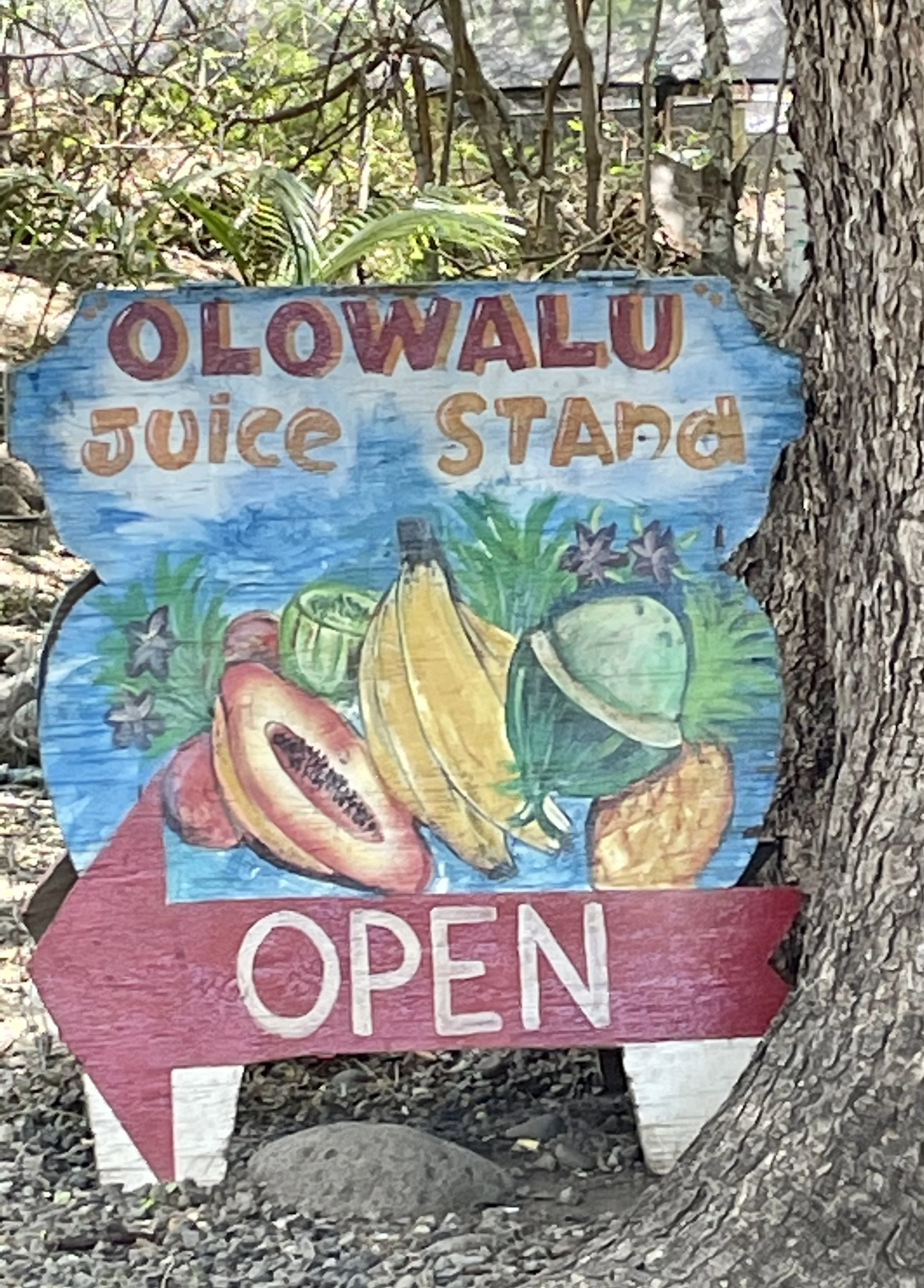Olowalu Juice: Lahaina, Hawaii
