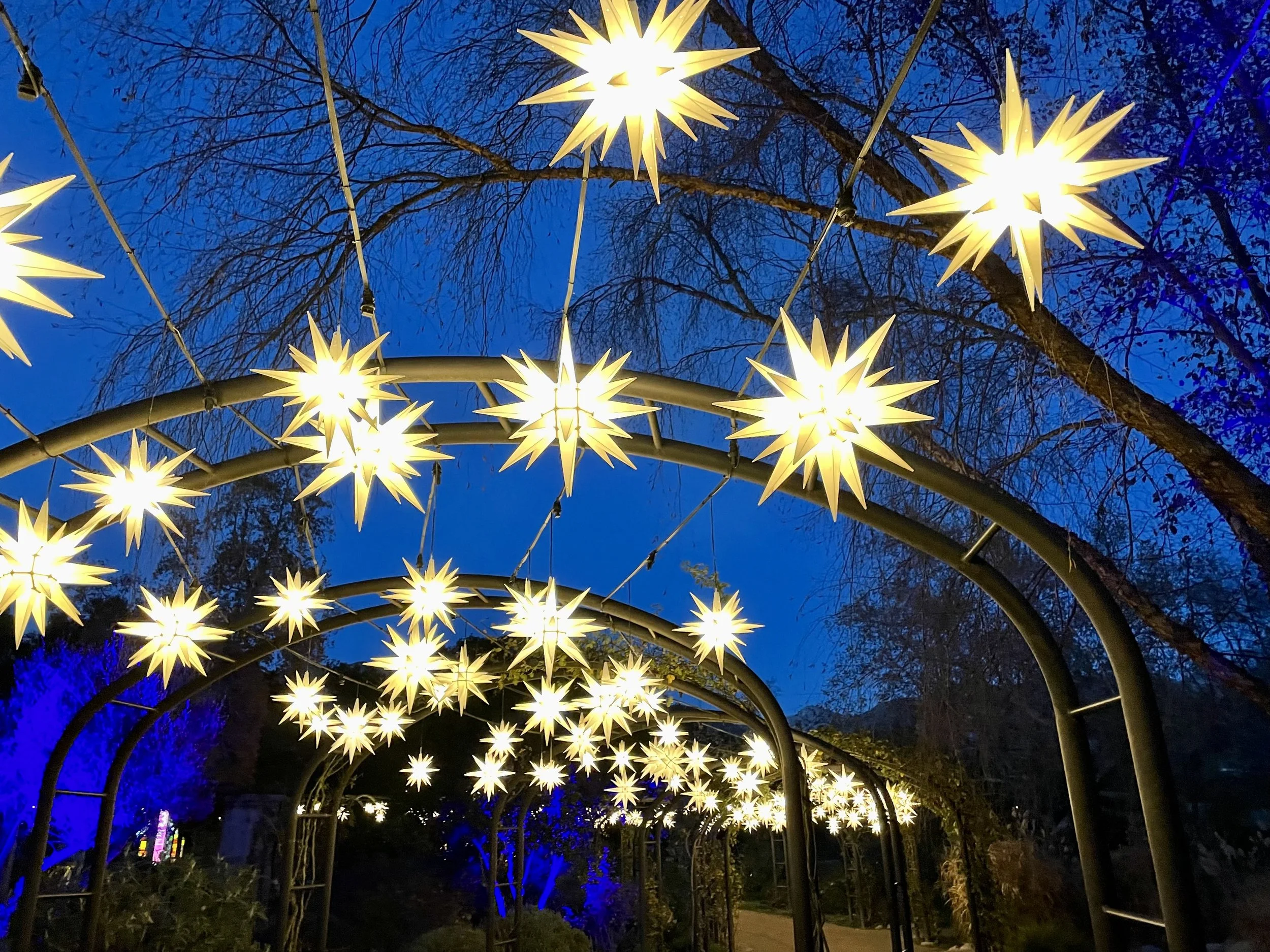 Holiday Lights: Descanso Gardens, CA