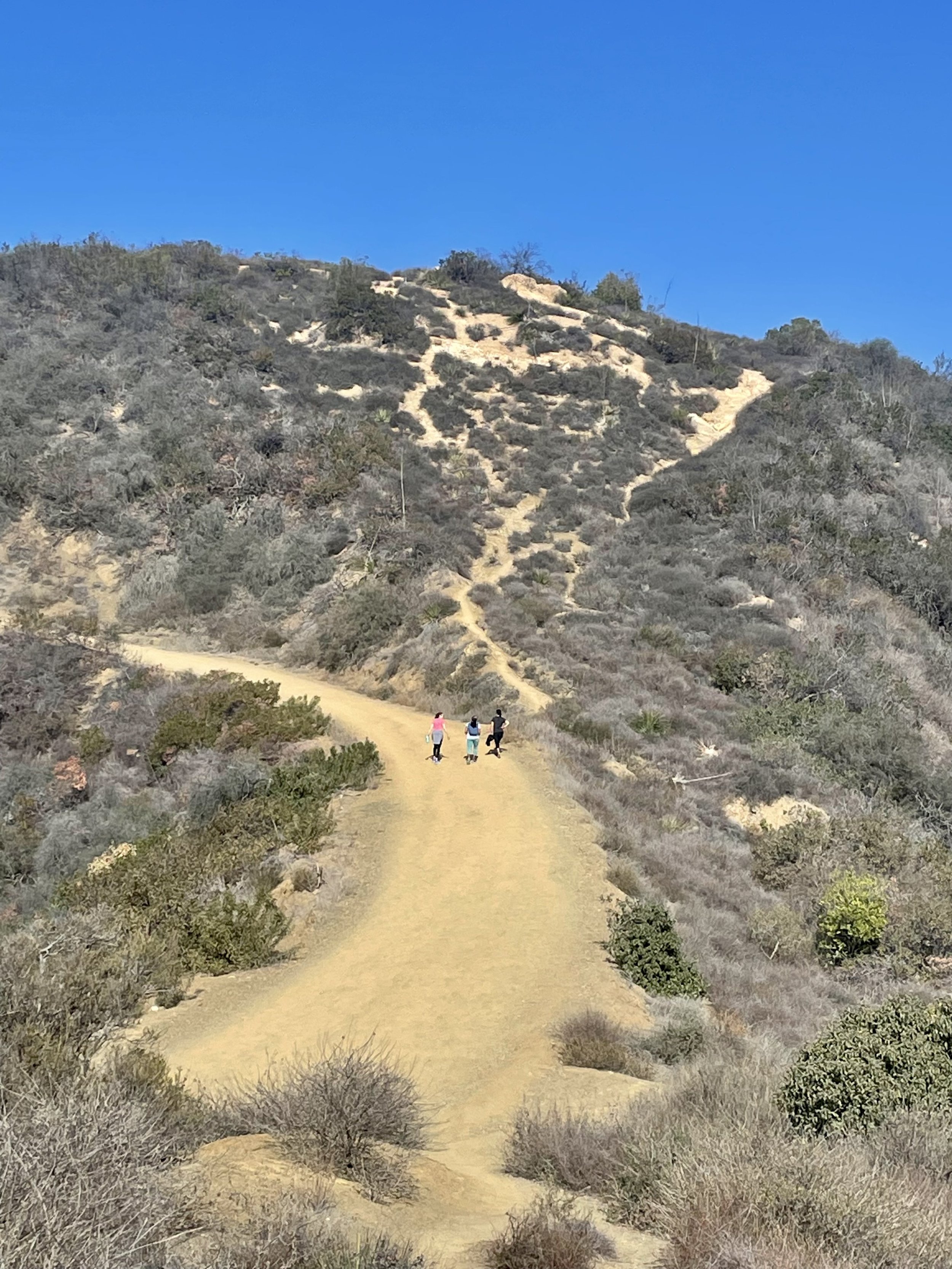 Los Leones Hike, Los Angeles, CA