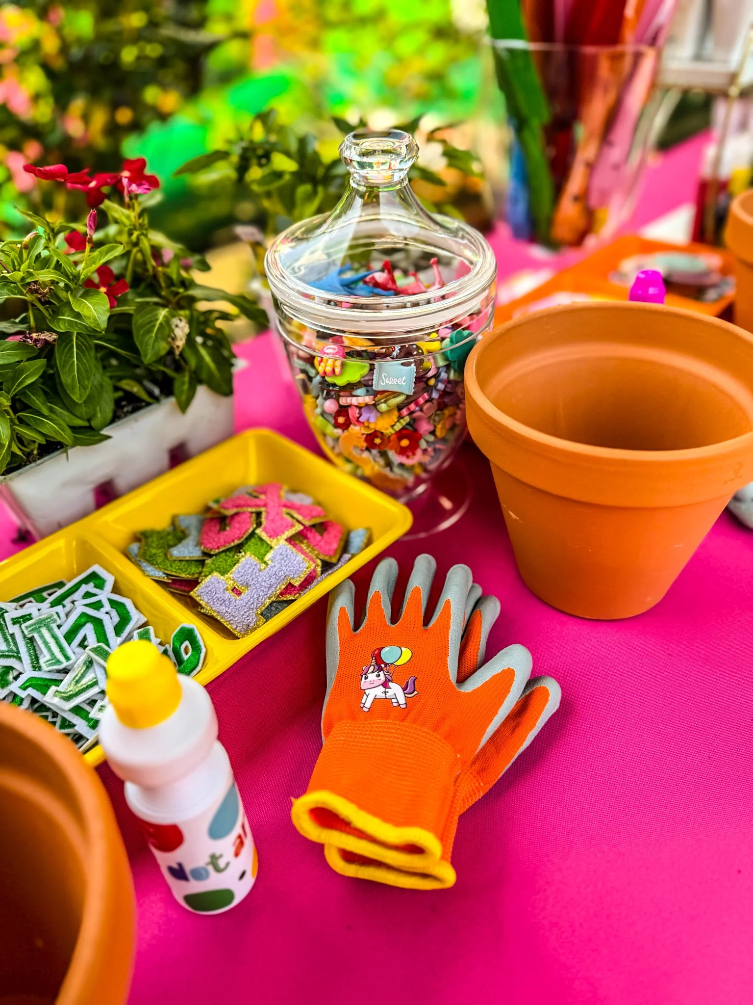 FFC0B64A-BA21-4A19-8B32-0C60737D8313 (1).JPEG