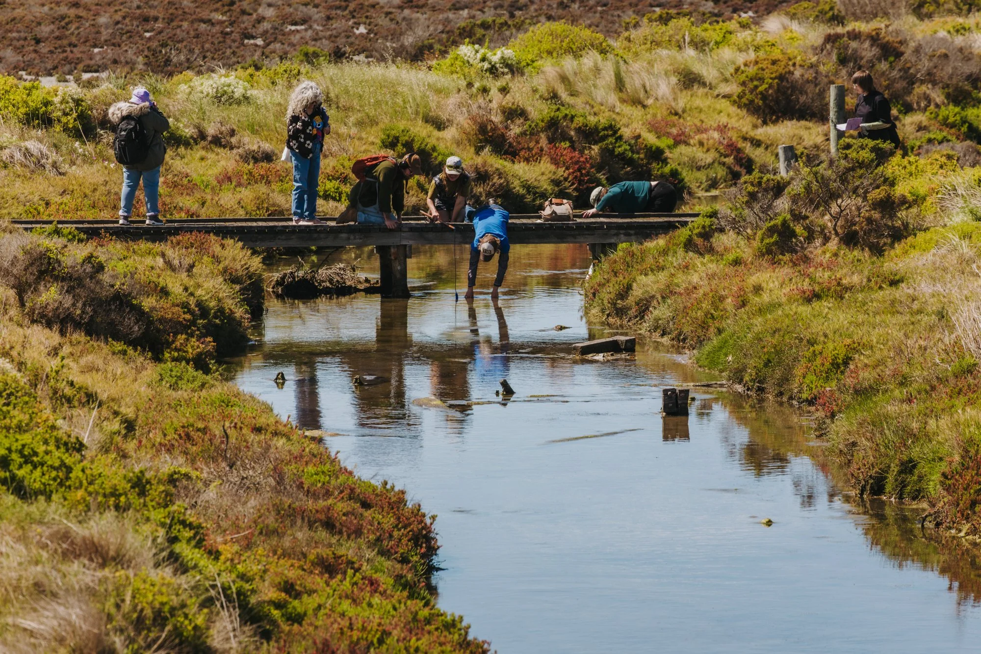 'Becoming Wetland' a collaboration with Lhotse Colins, a field trip to the Cheetham Wetlands supported by Wyndham City Coucil. Photo by Matto Lucas curtesy of Wyndham City Council. 