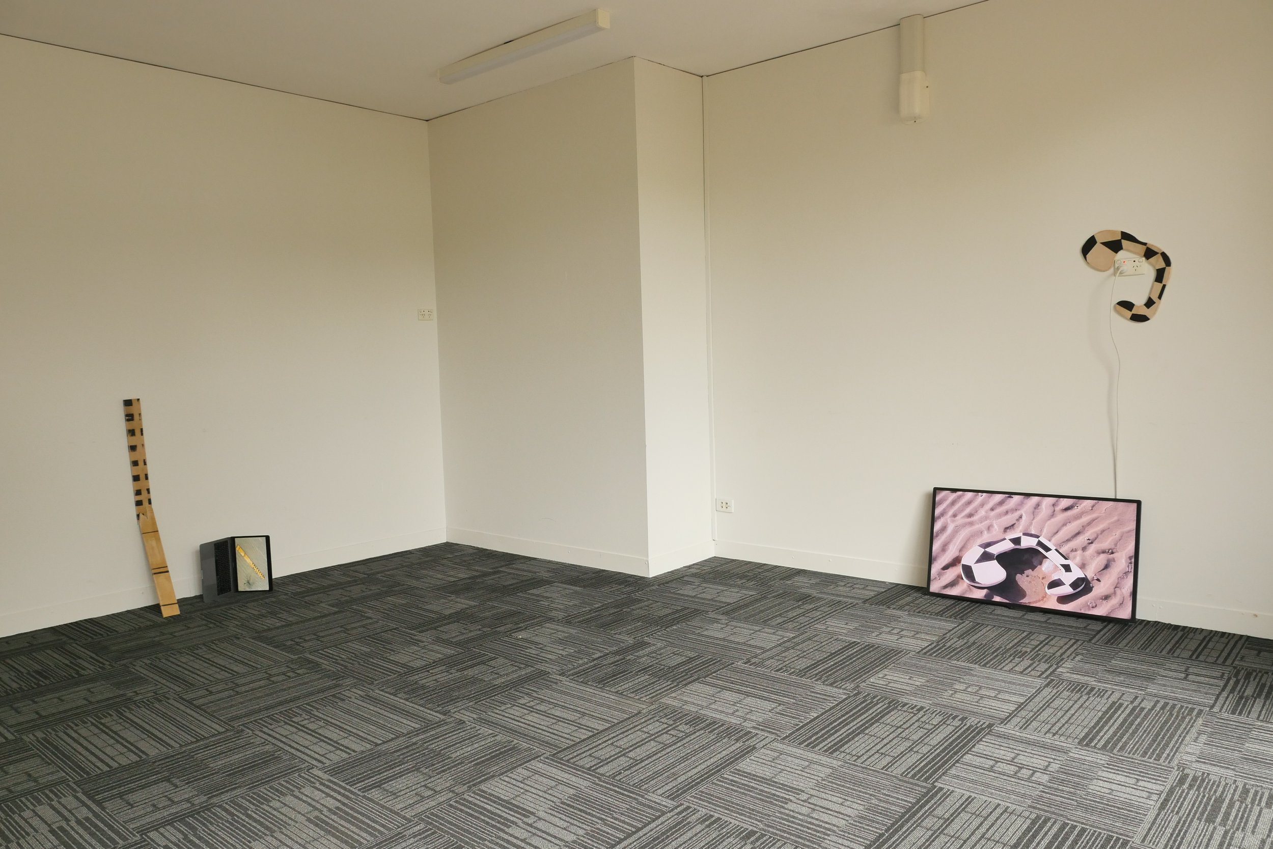 The salty part of the tongue, installation shot, 2025. Photo credit: Avni Dauti.