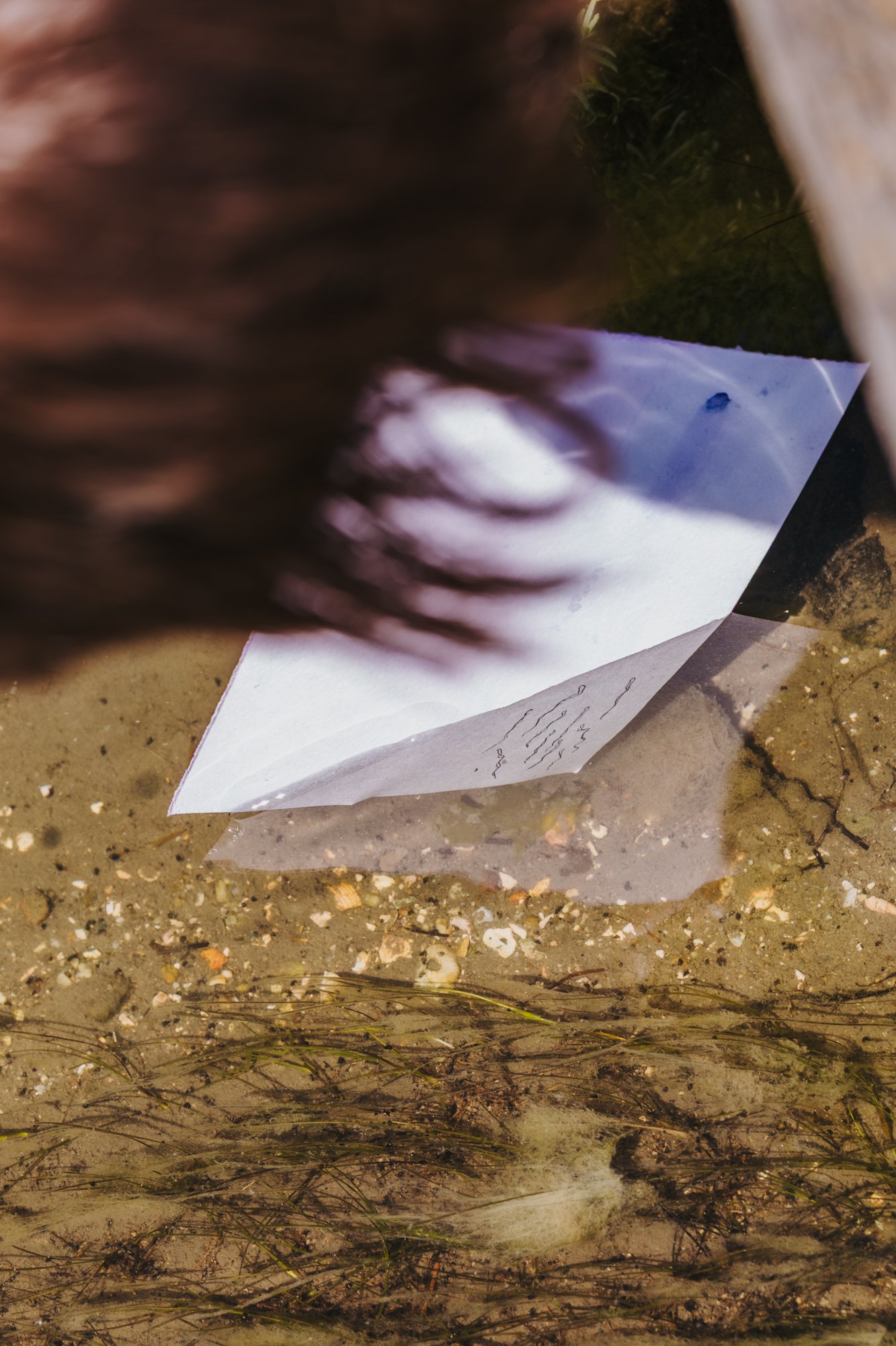 'Becoming Wetland' a collaboration with Lhotse Colins, a field trip to the Cheetham Wetlands supported by Wyndham City Coucil. Photo by Matto Lucas curtesy of Wyndham City Council. 