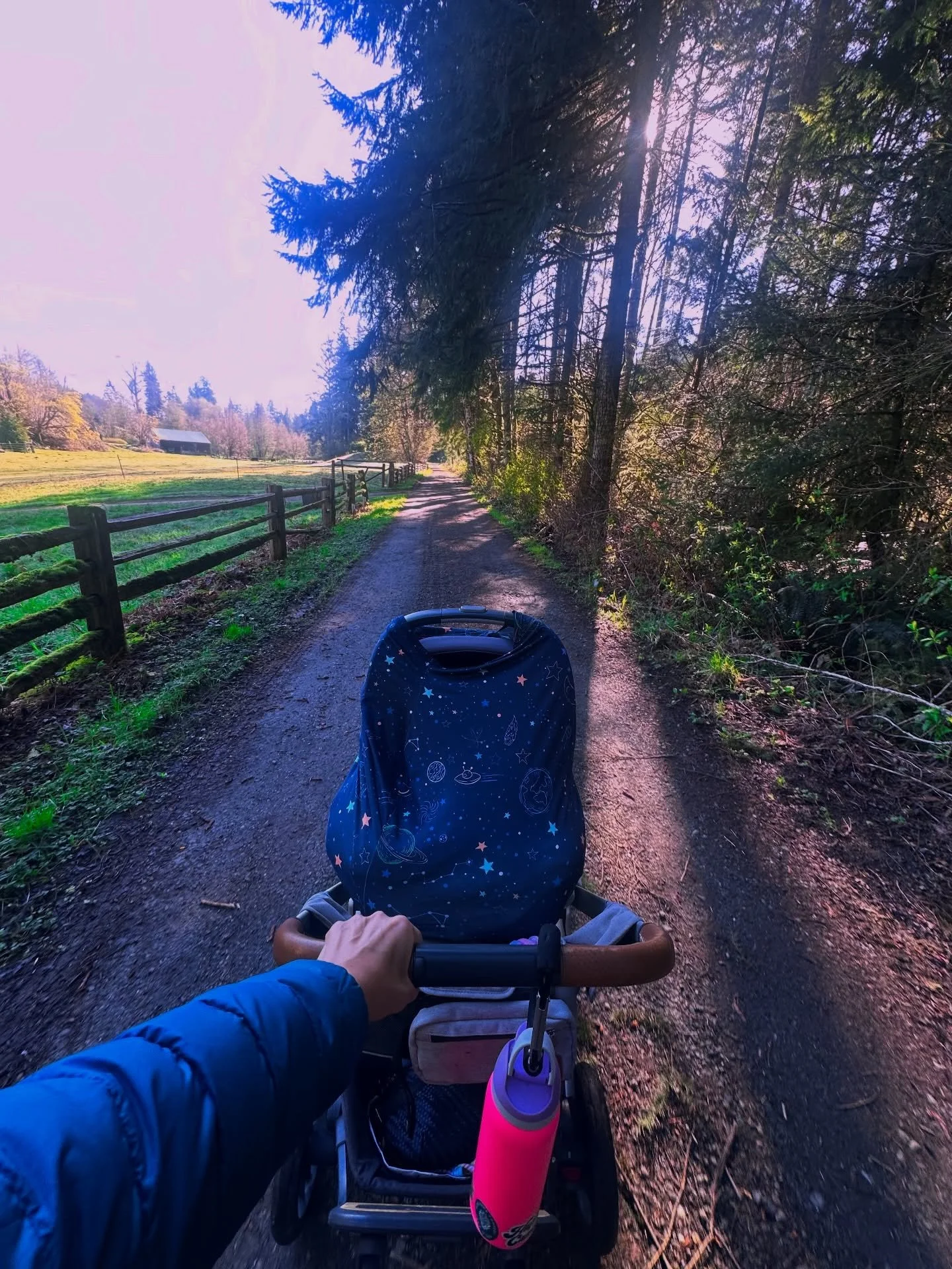 Yesterday was 5 months with baby girl earthside. Five months of mothering two critters while trying to take care of myself and a beloved geriatric dog and be a good lover, friend, and halfway decent human how is it even possible??? It&rsquo;s not. Bu