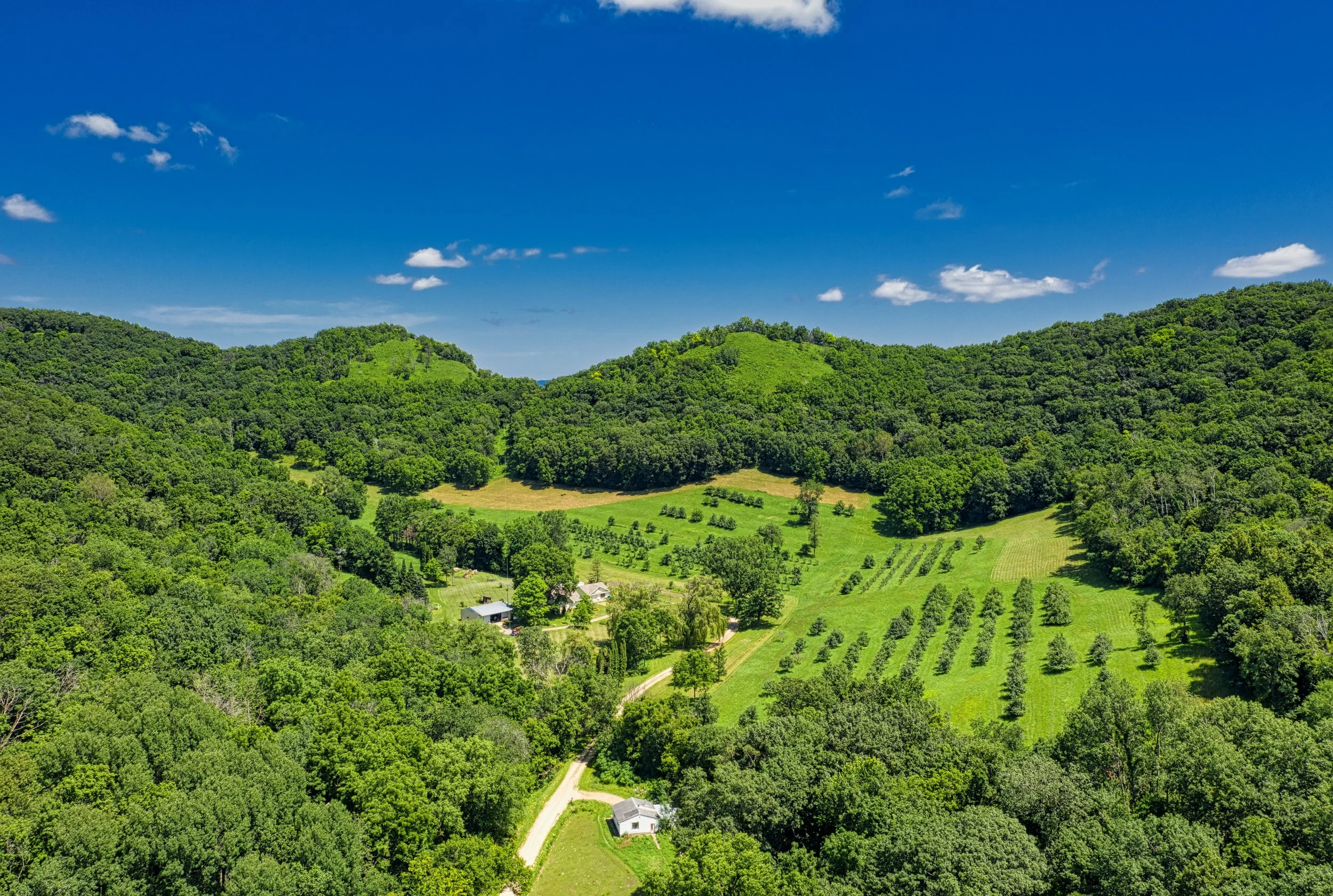 A landscape with green hills covered with trees