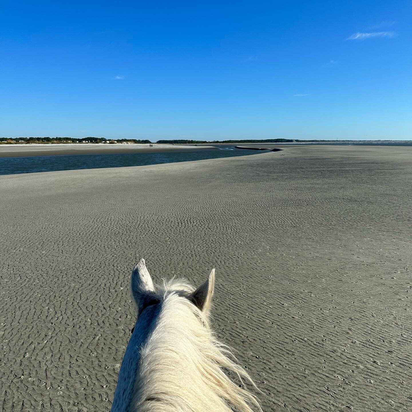 Our team spent this morning exploring the beautiful beaches on horseback! Reach out to us for the ultimate Kiawah/Seabrook itinerary for your family and guests.
