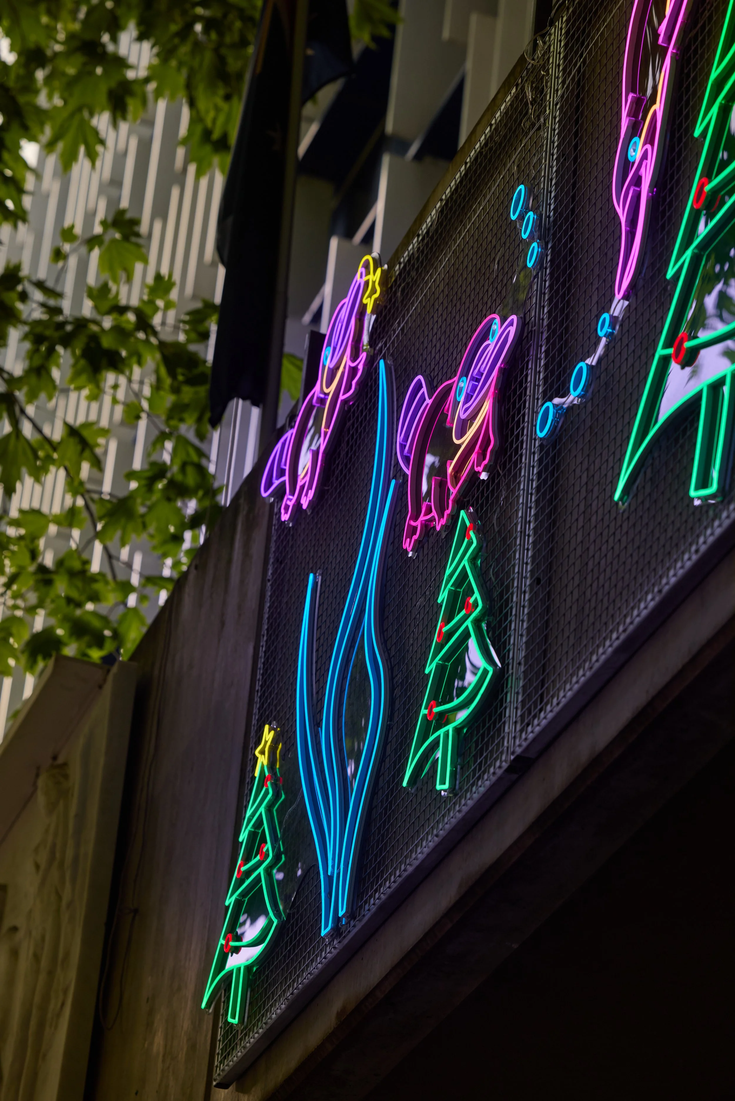 Volter 12 Days of Xmas-018.jpg