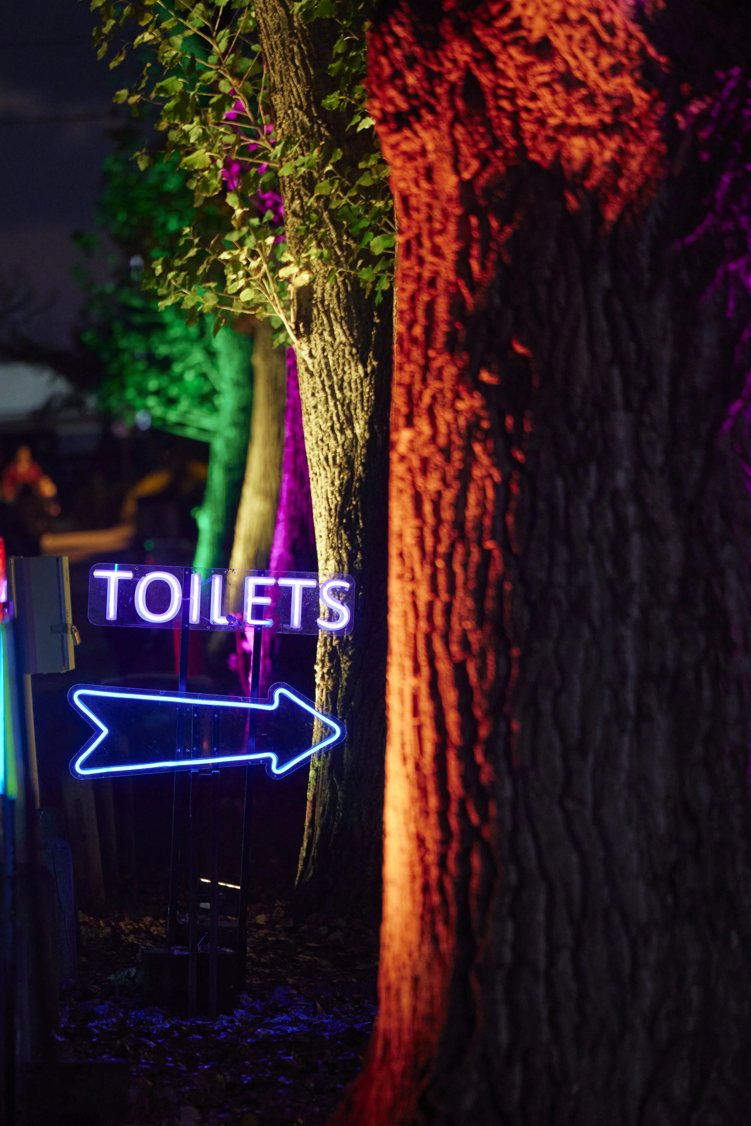 Toilets & RGB Arrow - Perspex(2).jpg