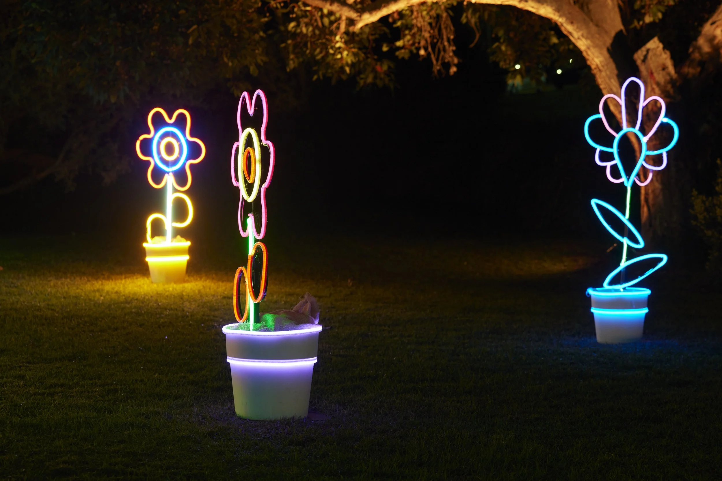 Morwell International Rose Garden Festival