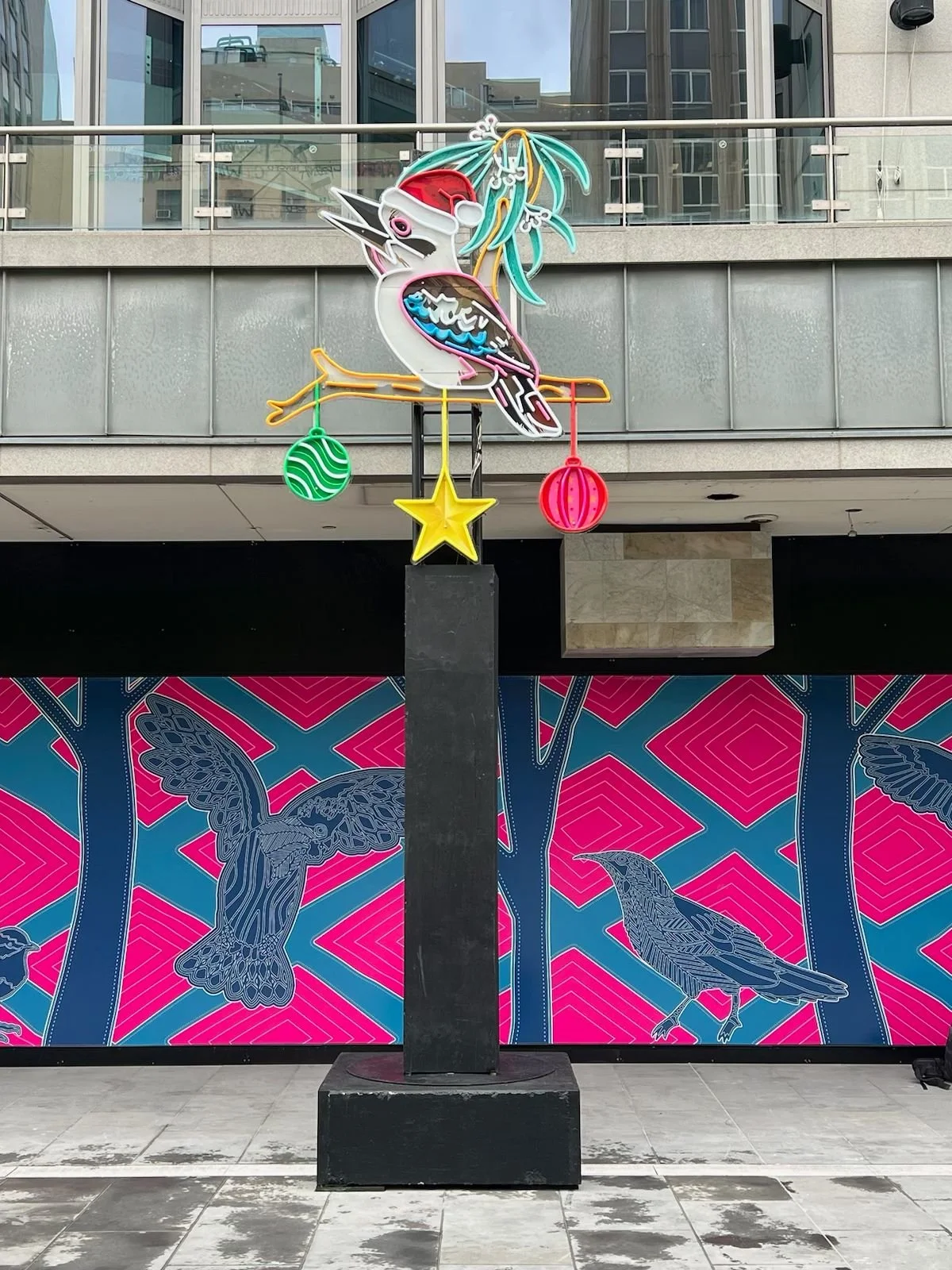 A Kookaburra in a Gum Tree