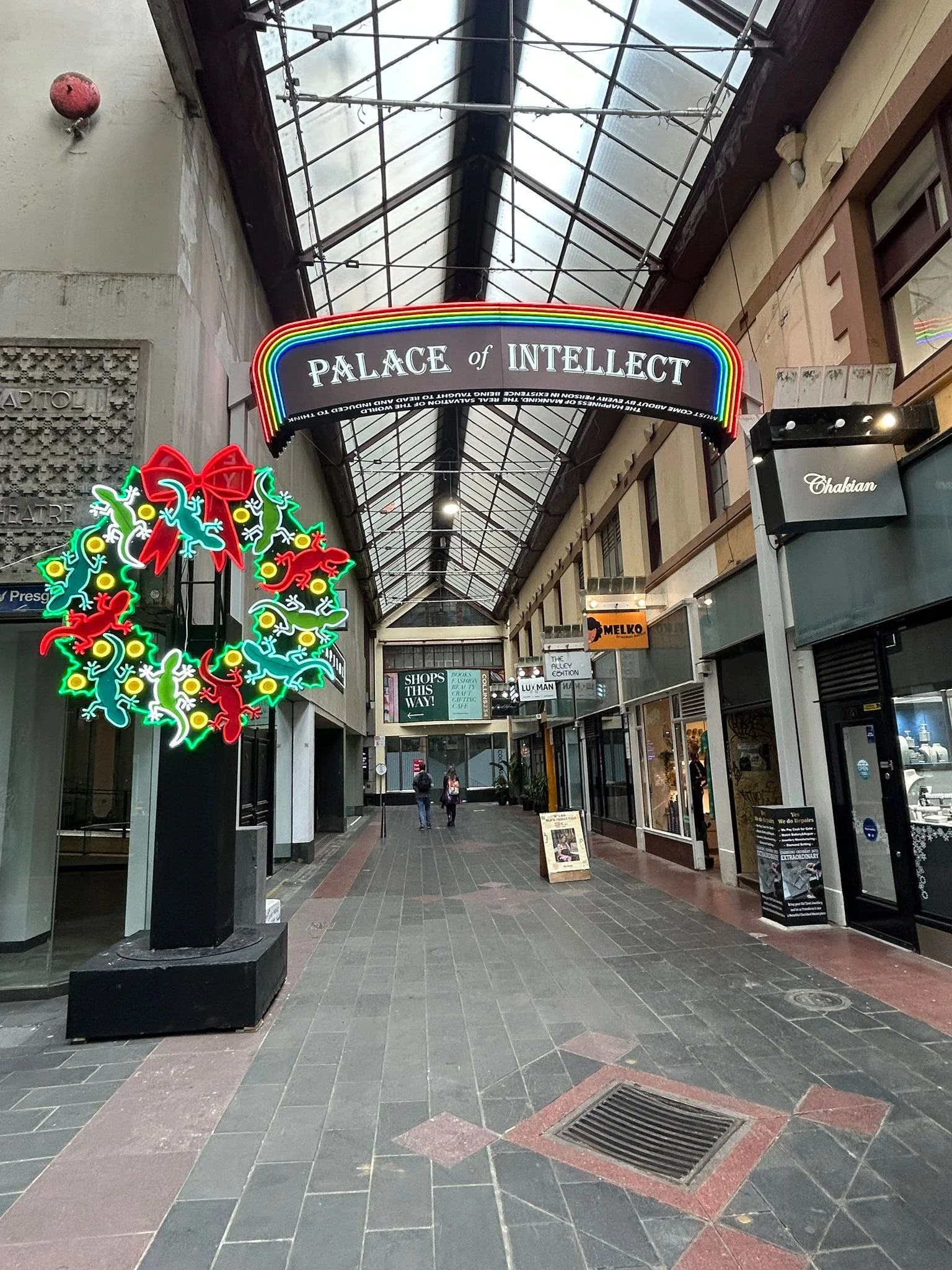 Eleven Lizards Leaping