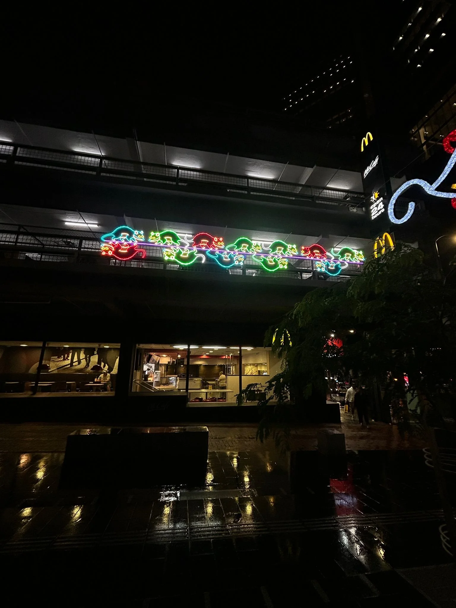 Twelve Possums Playing