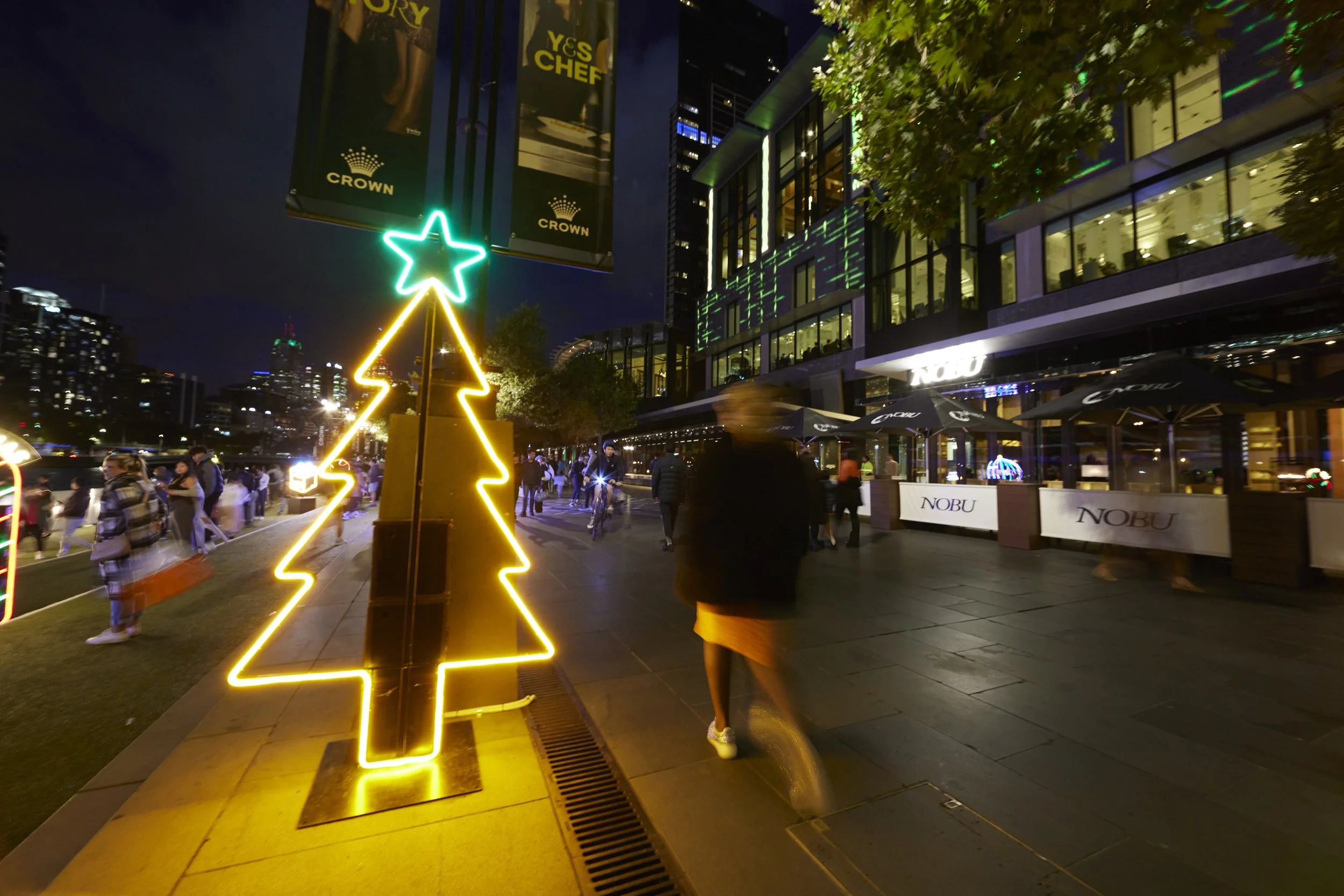 Xmas Tree Medium w_Star 1_Landscape.jpg
