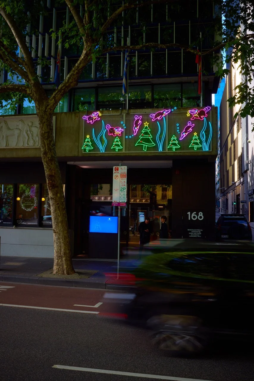 Six Platypuses Paddling
