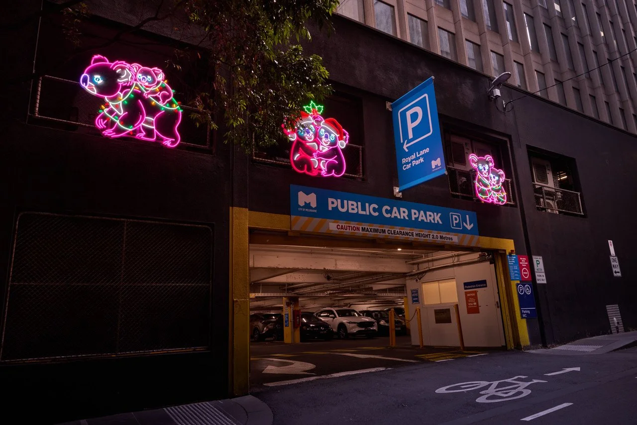 Eight Koalas Cuddling