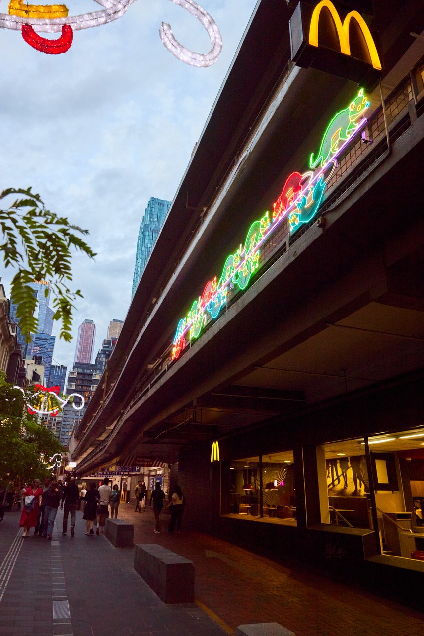 Twelve Possums Playing