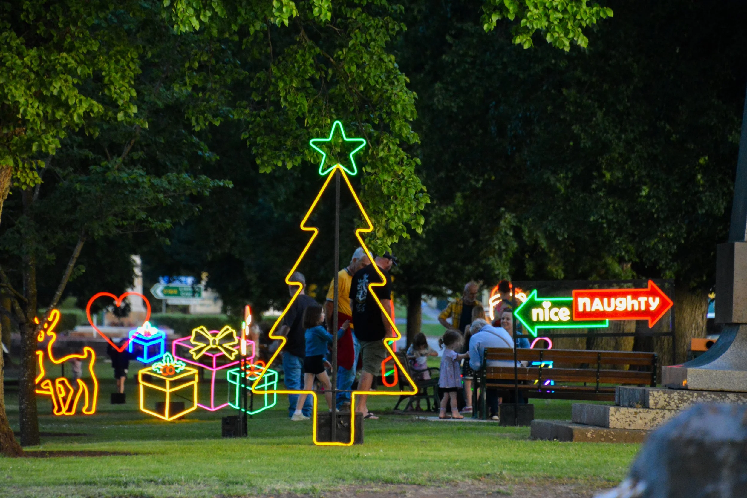 Xmas Tree Large w_Star 2_Landscape.jpg