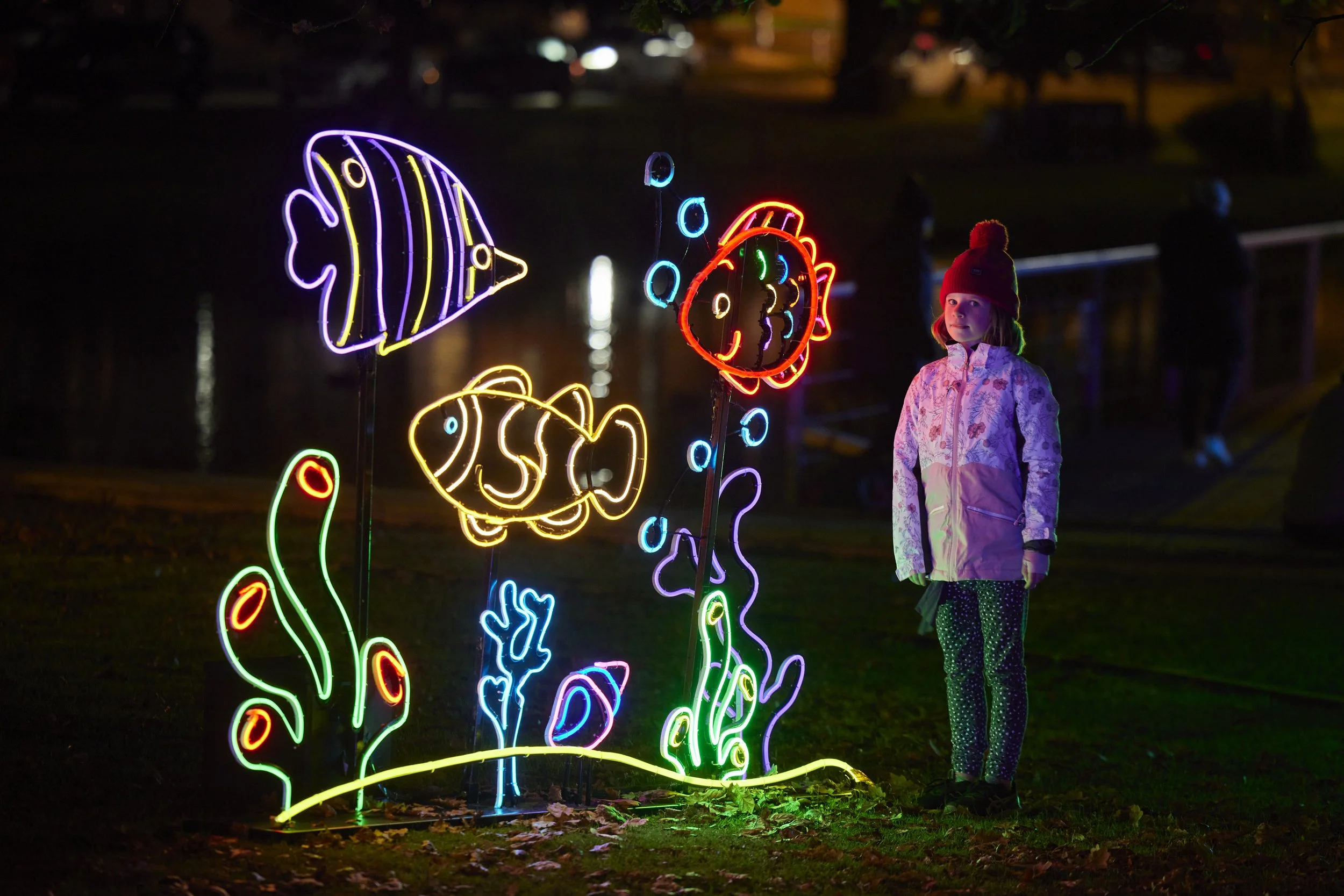 Light Up the Lane