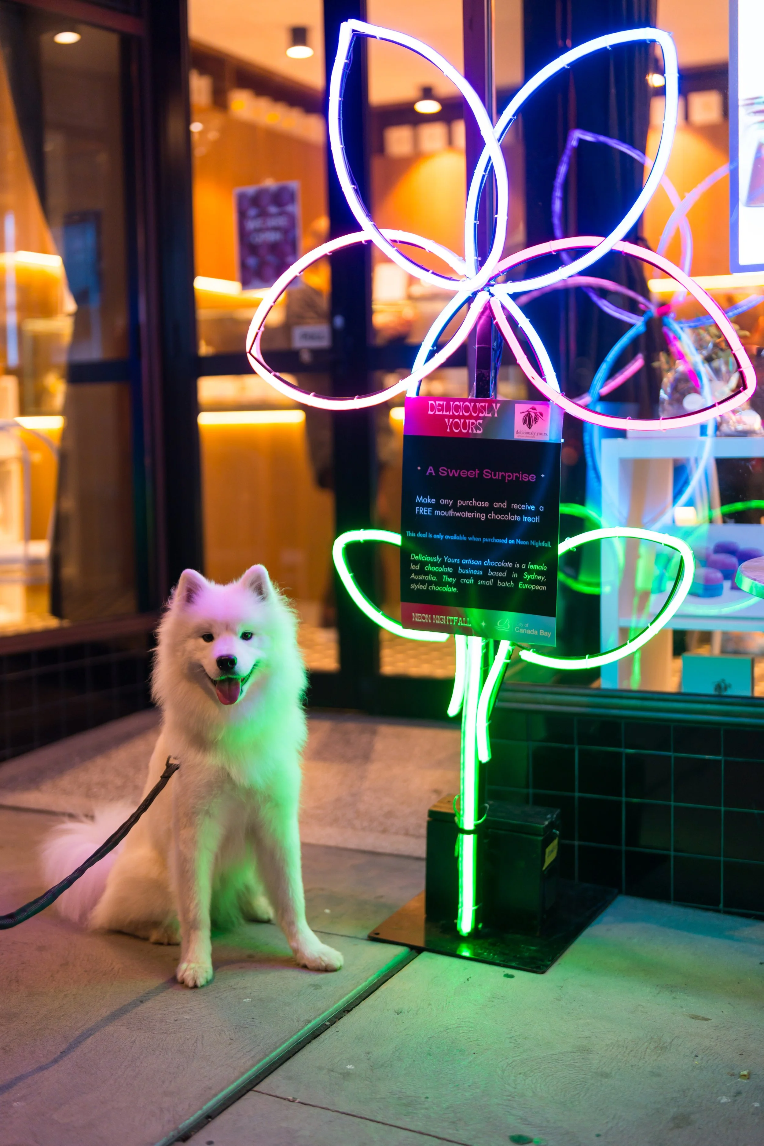 Neon Nightfall 2025_3.jpg