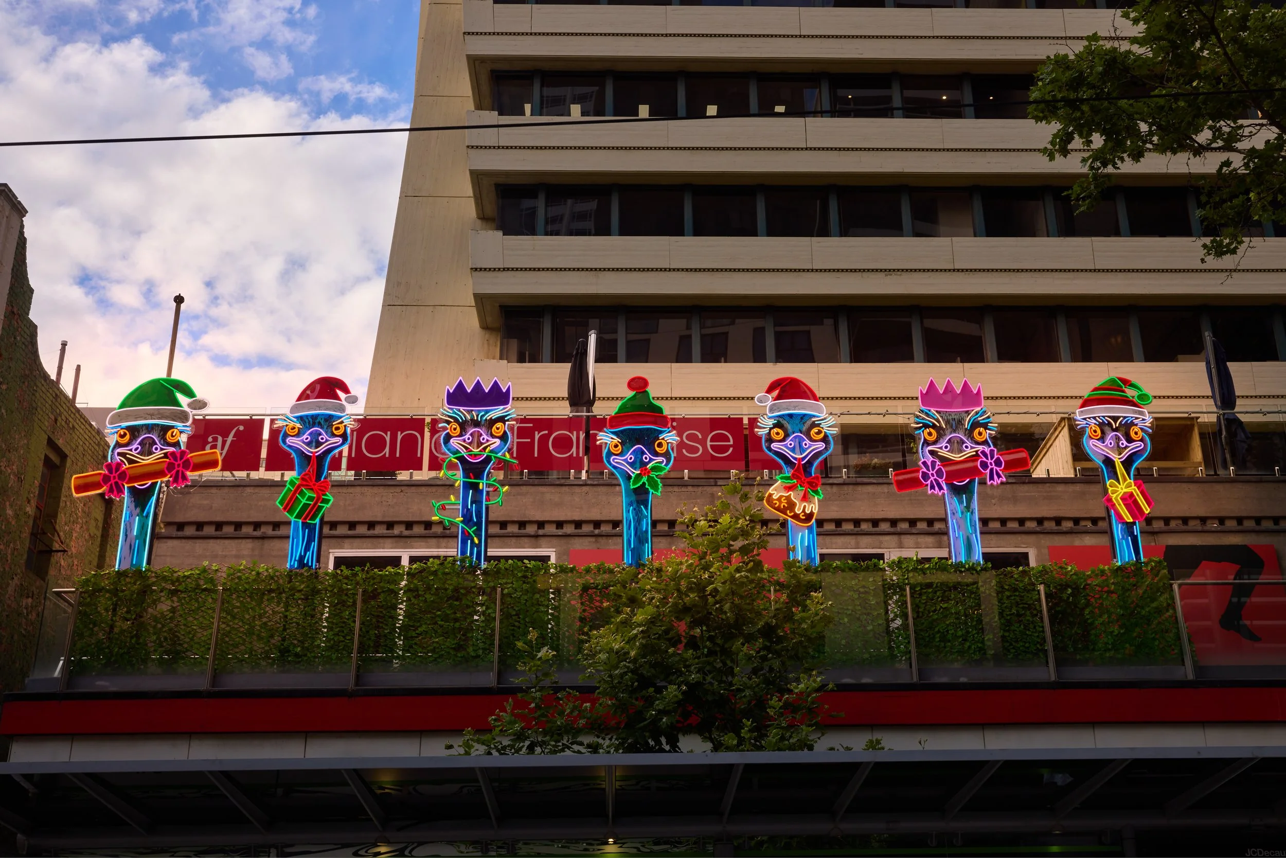 Volter 12 Days of Xmas-003.jpg