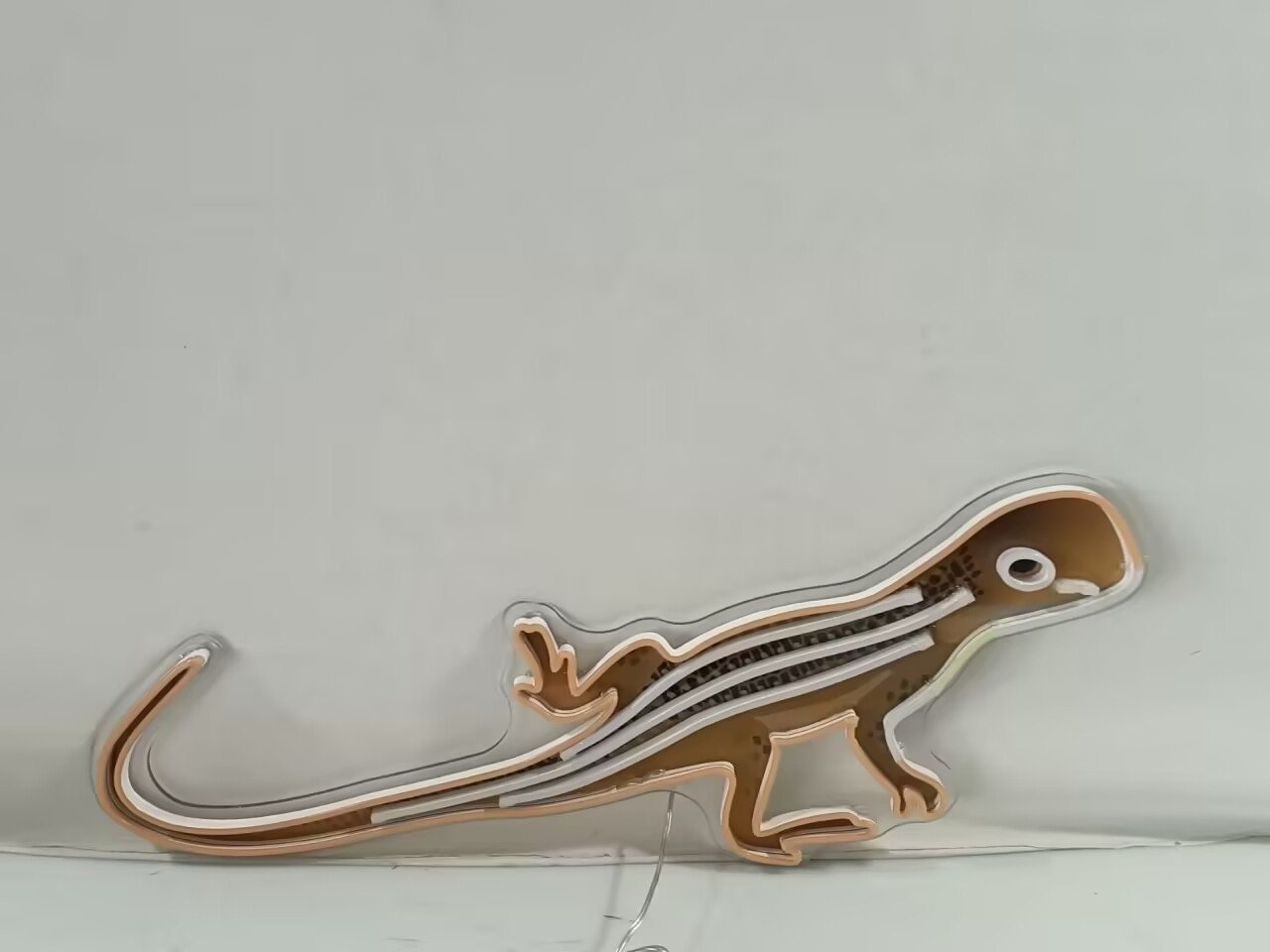 Animals - Beardless Dragon Not Lit.JPG